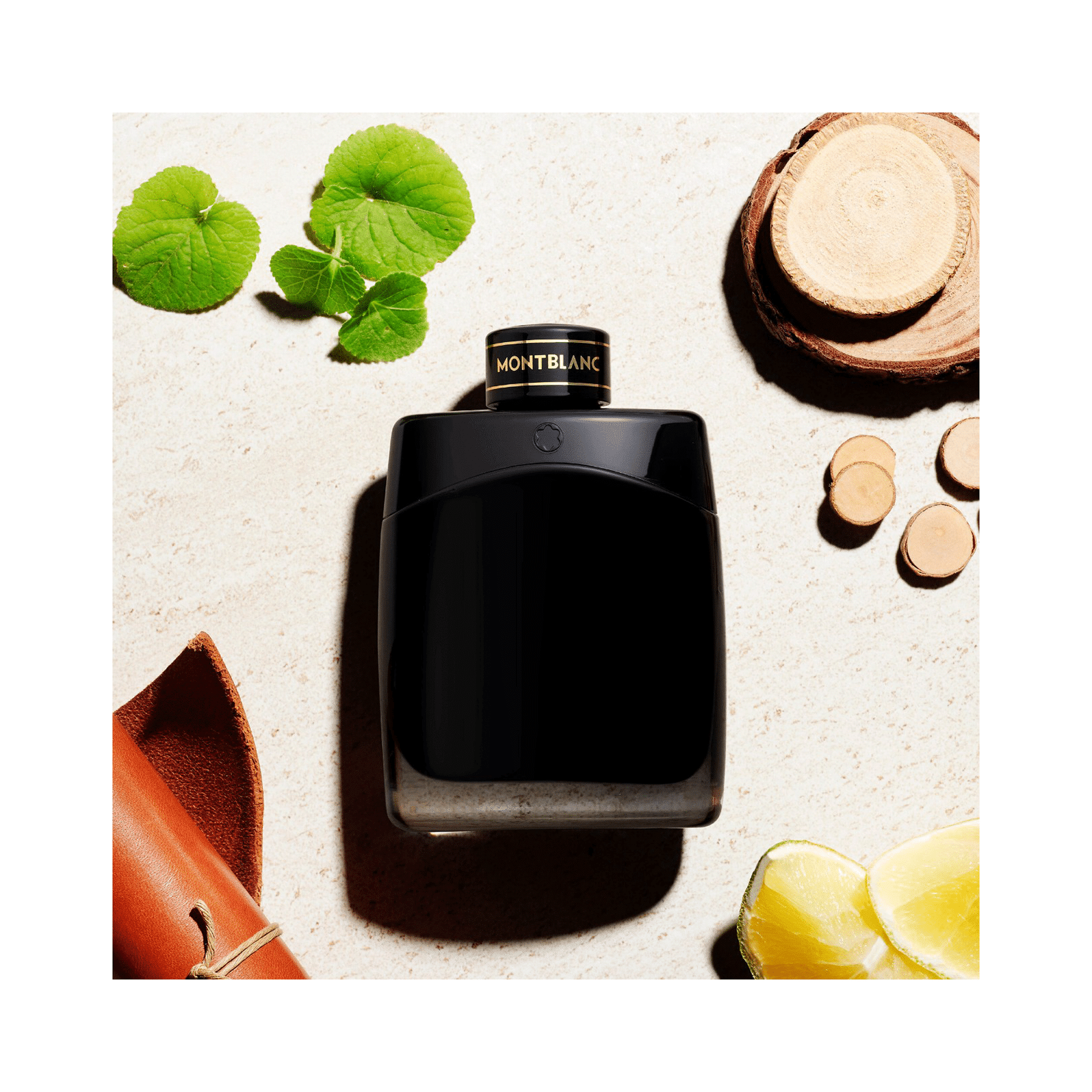 67ab484aa8b604e38b9326161ef46734