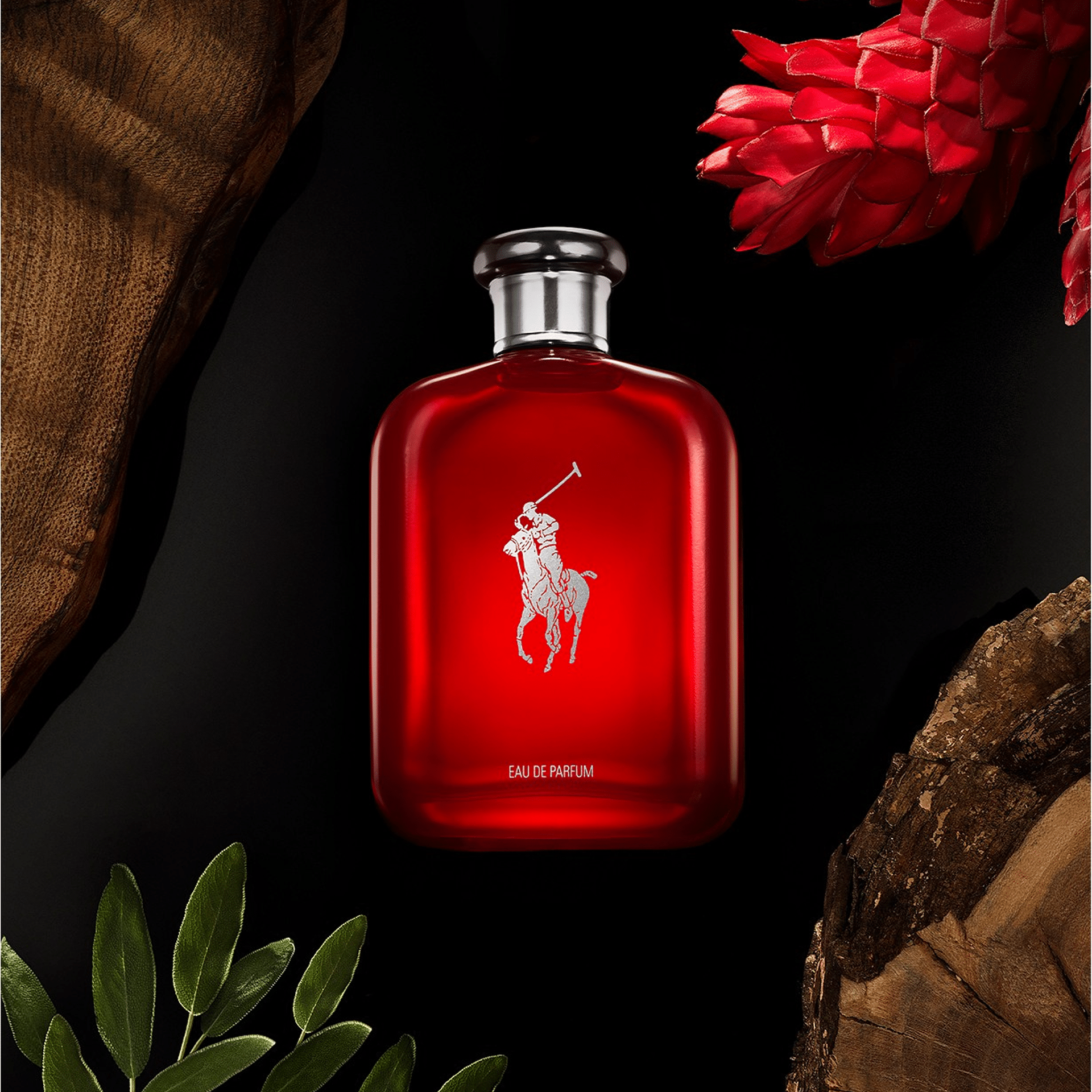 231168817bb5406583934fa98baa4f44