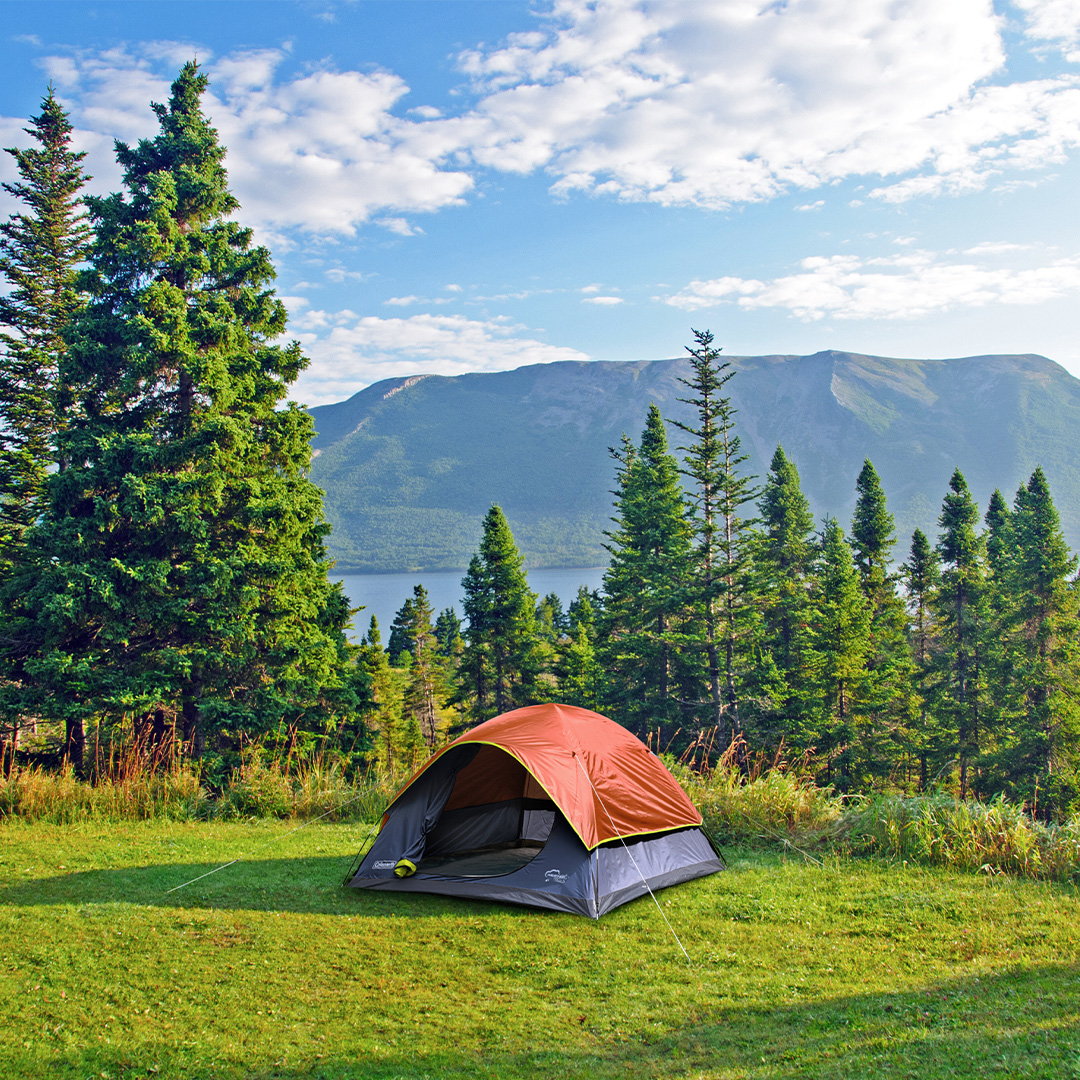 737066c4d9c44a9386e64b29fa8840fc