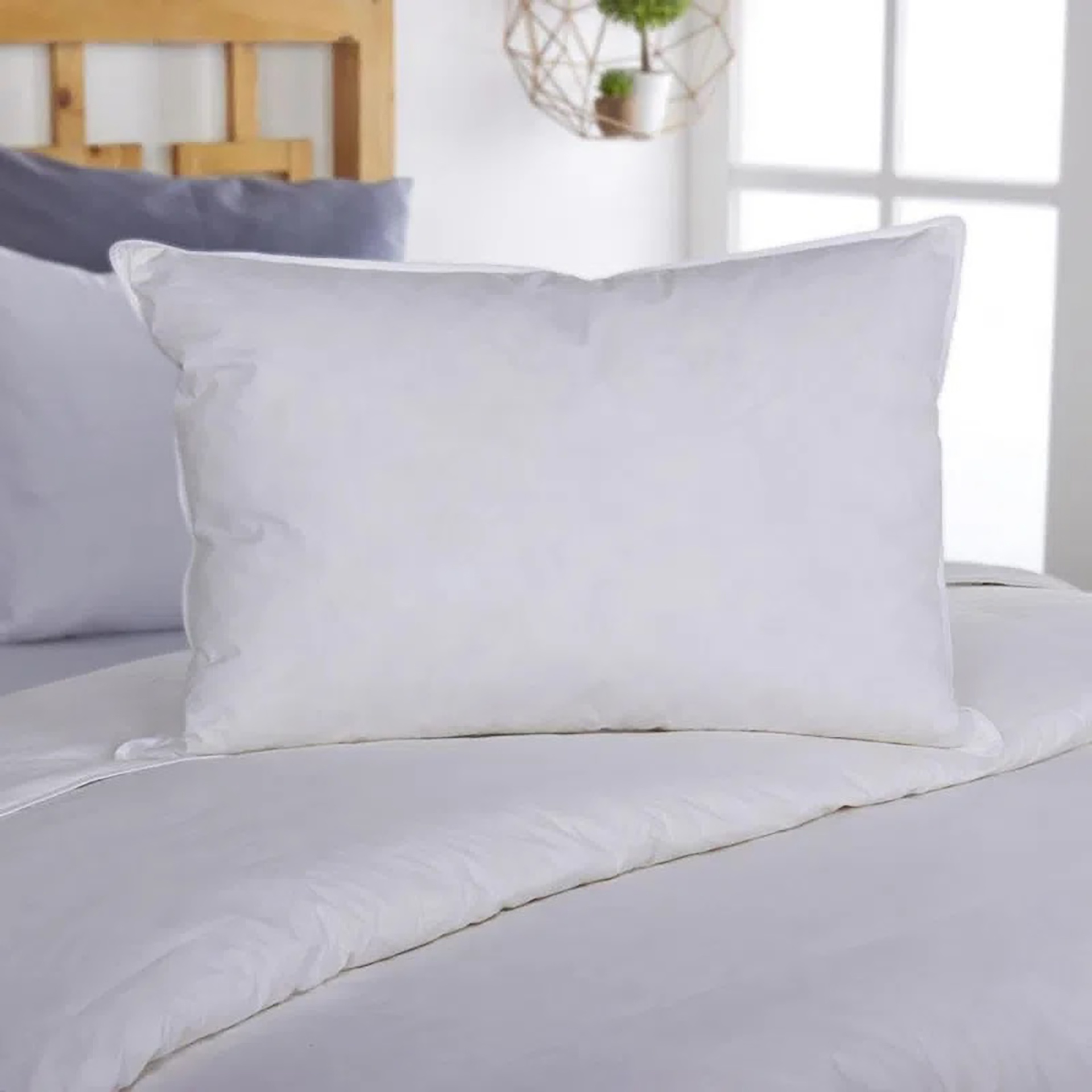 9ff929cc1f6b2e999edbcc50e8240f69