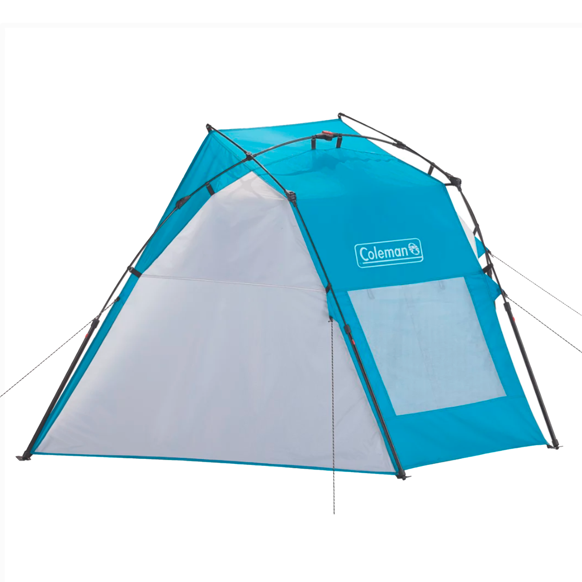 c3527d1f0fae019f6be961ef29a54820