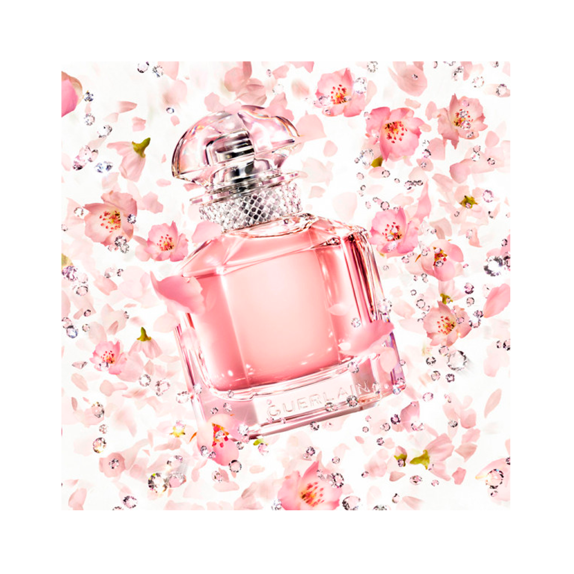 483a0ba427c6bf0505fa75bfd15e939c