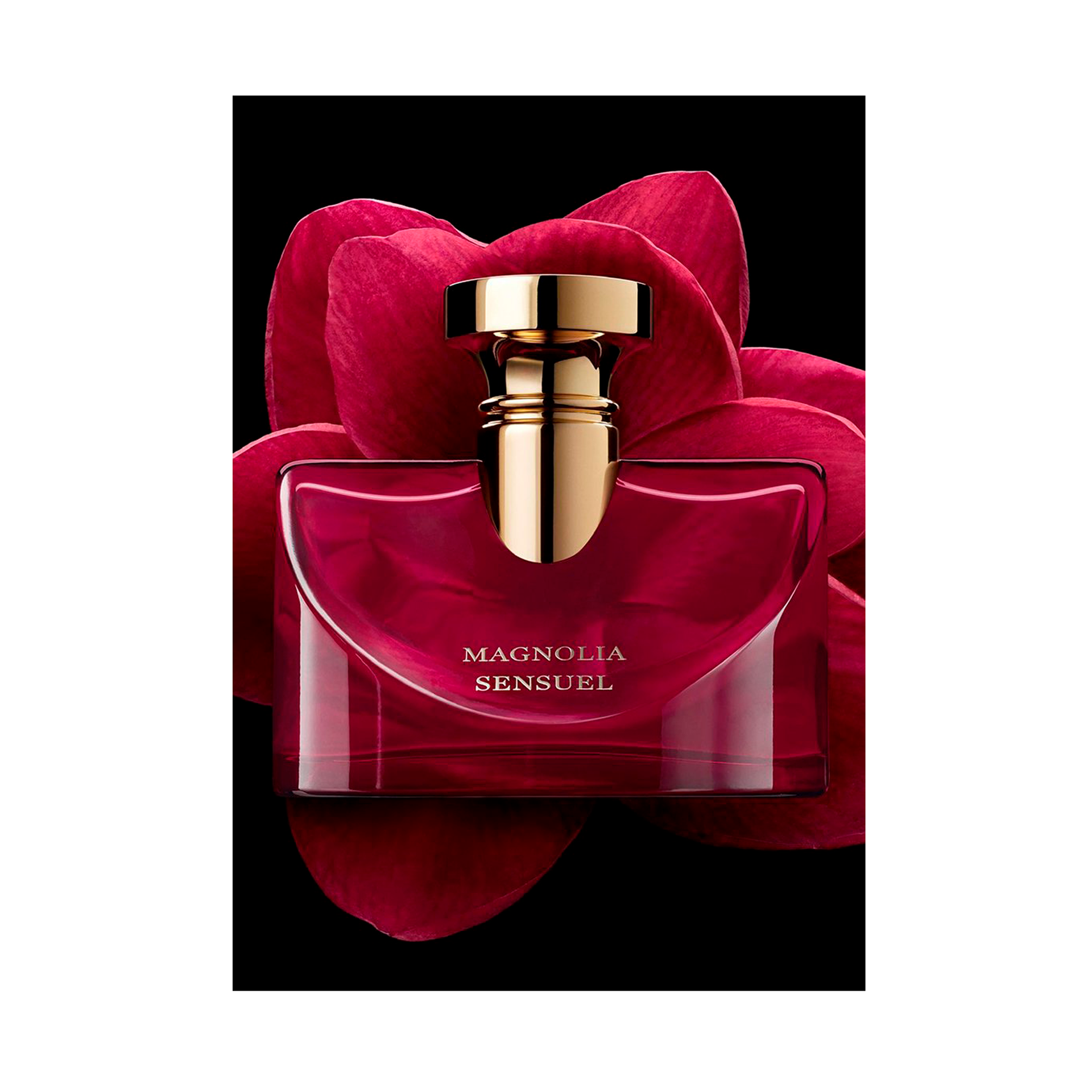 0c7cc7fadb1a1a552b15a2014320b616