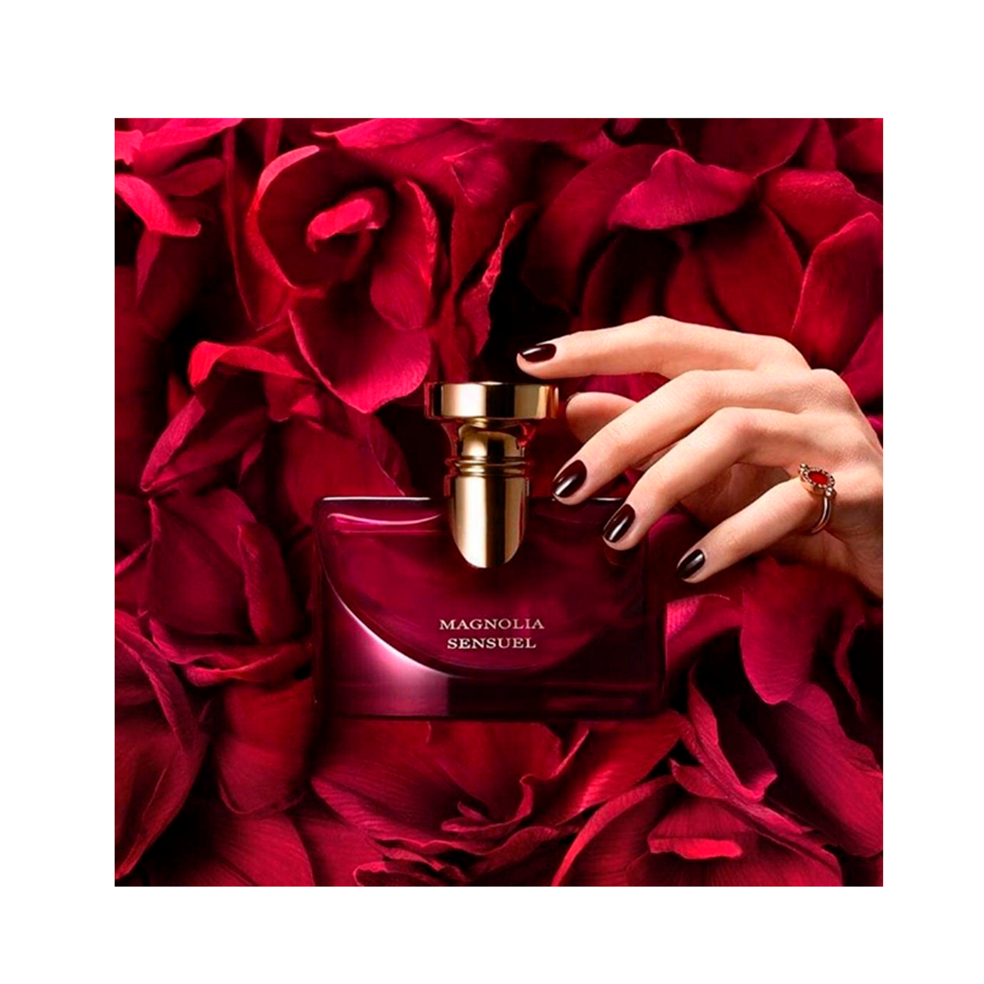 b37d10cb3bec07c1a839f22b351d6cf3