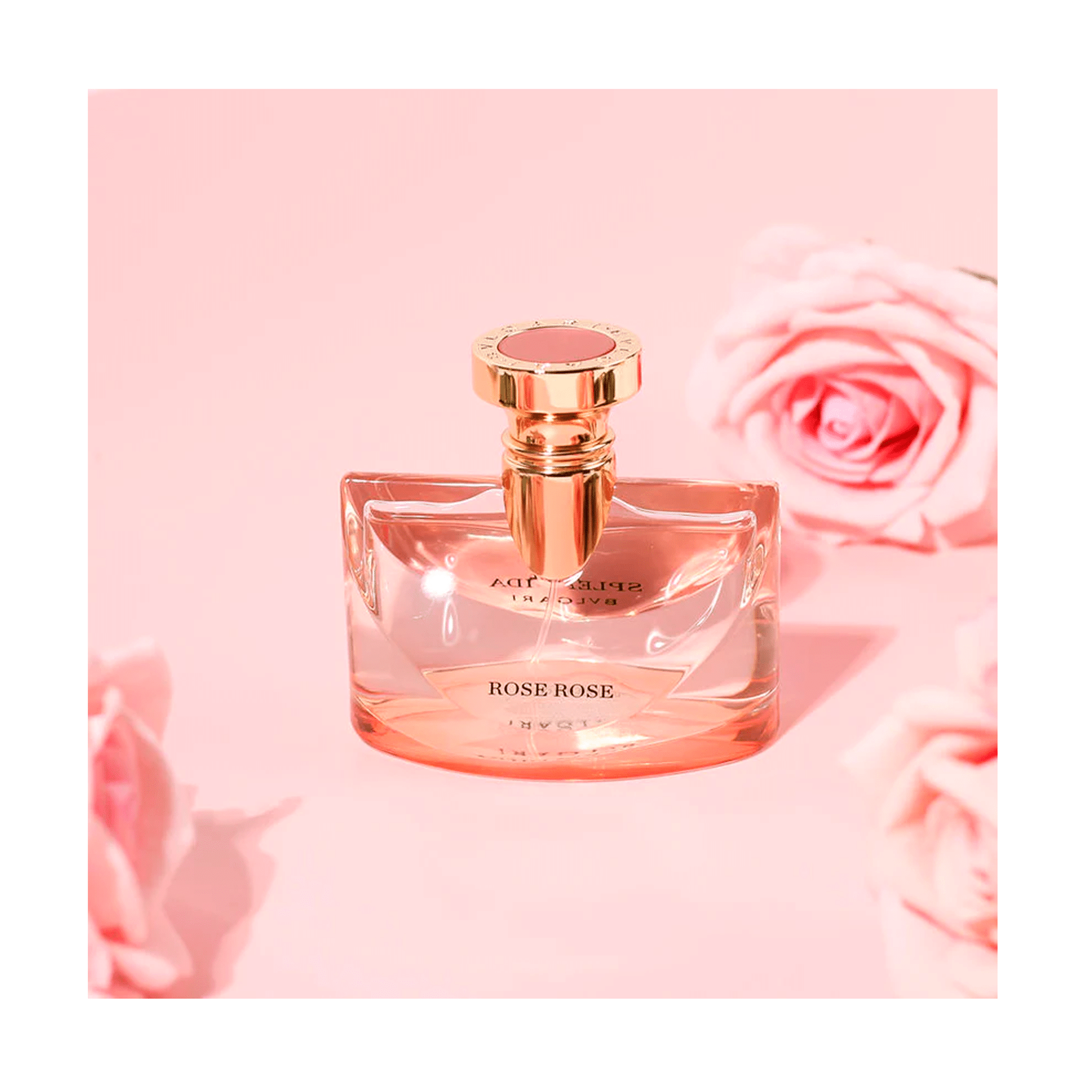 ecdf1d5bb2ffc7bbd37b687e9c29730c