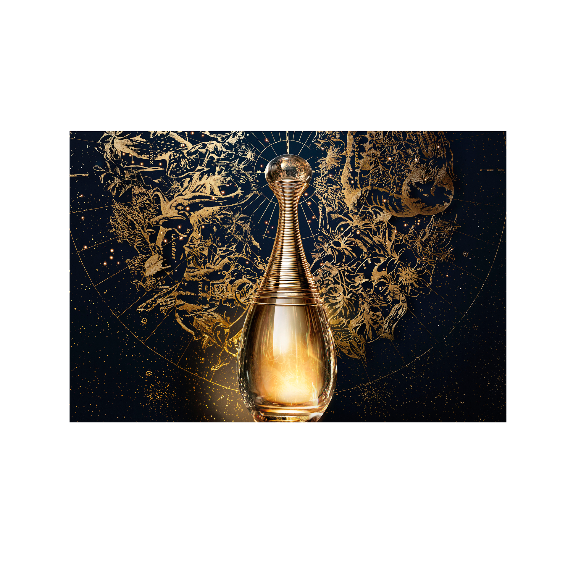 6679714486c8039152489758186665a6