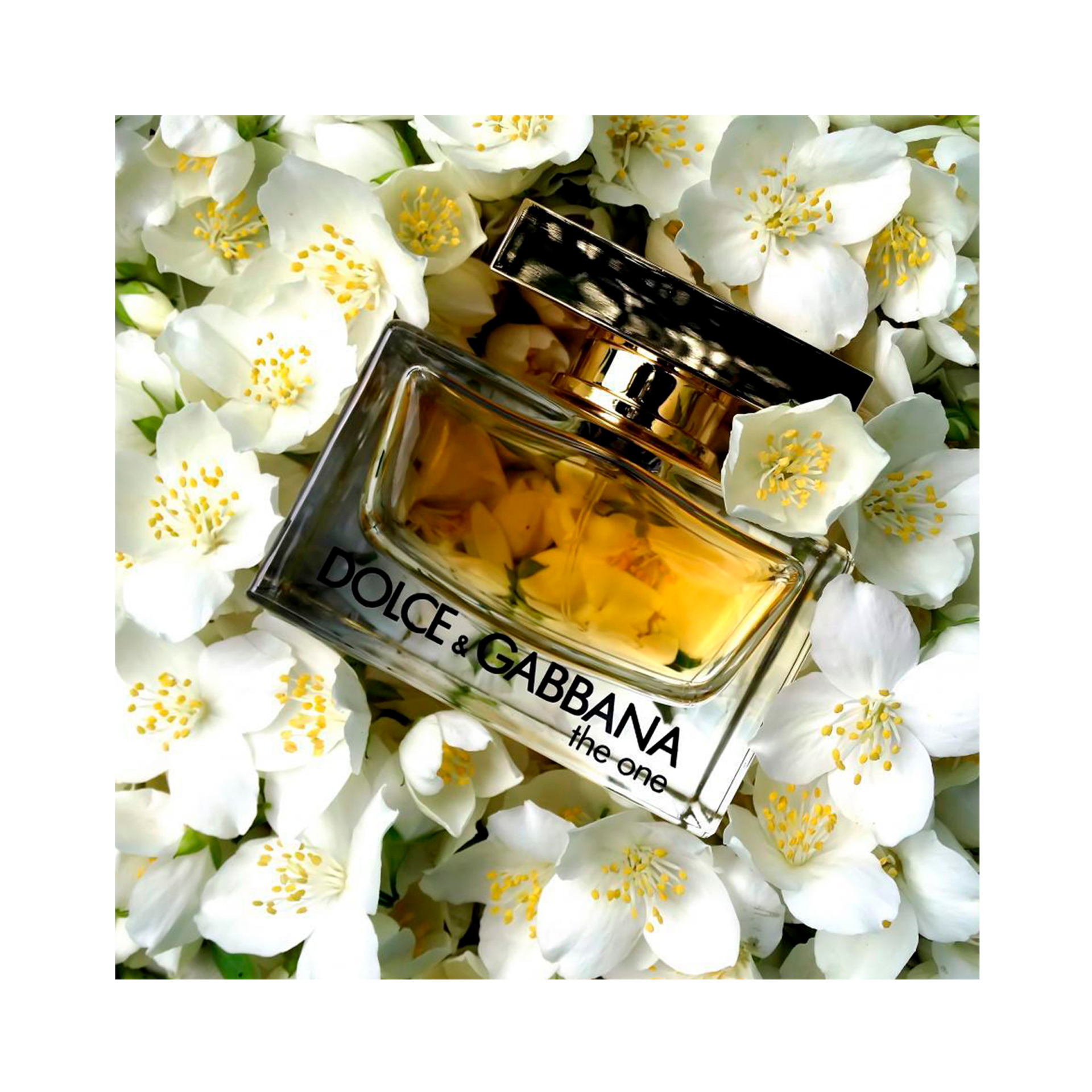 2d19b2d7956fb5c3f4804c612e852395