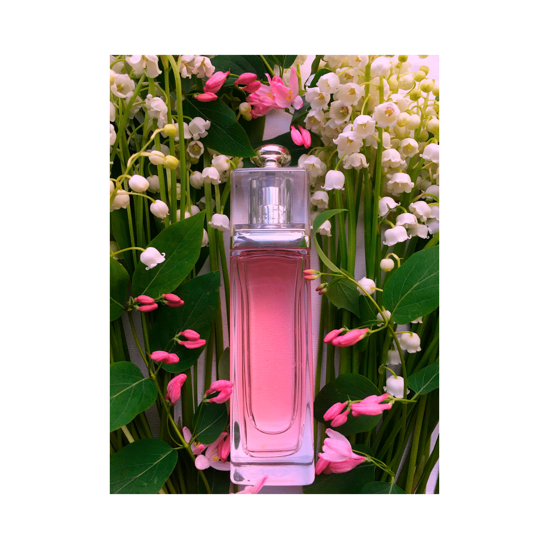 e608313c4c8d175df98228617ec9801b