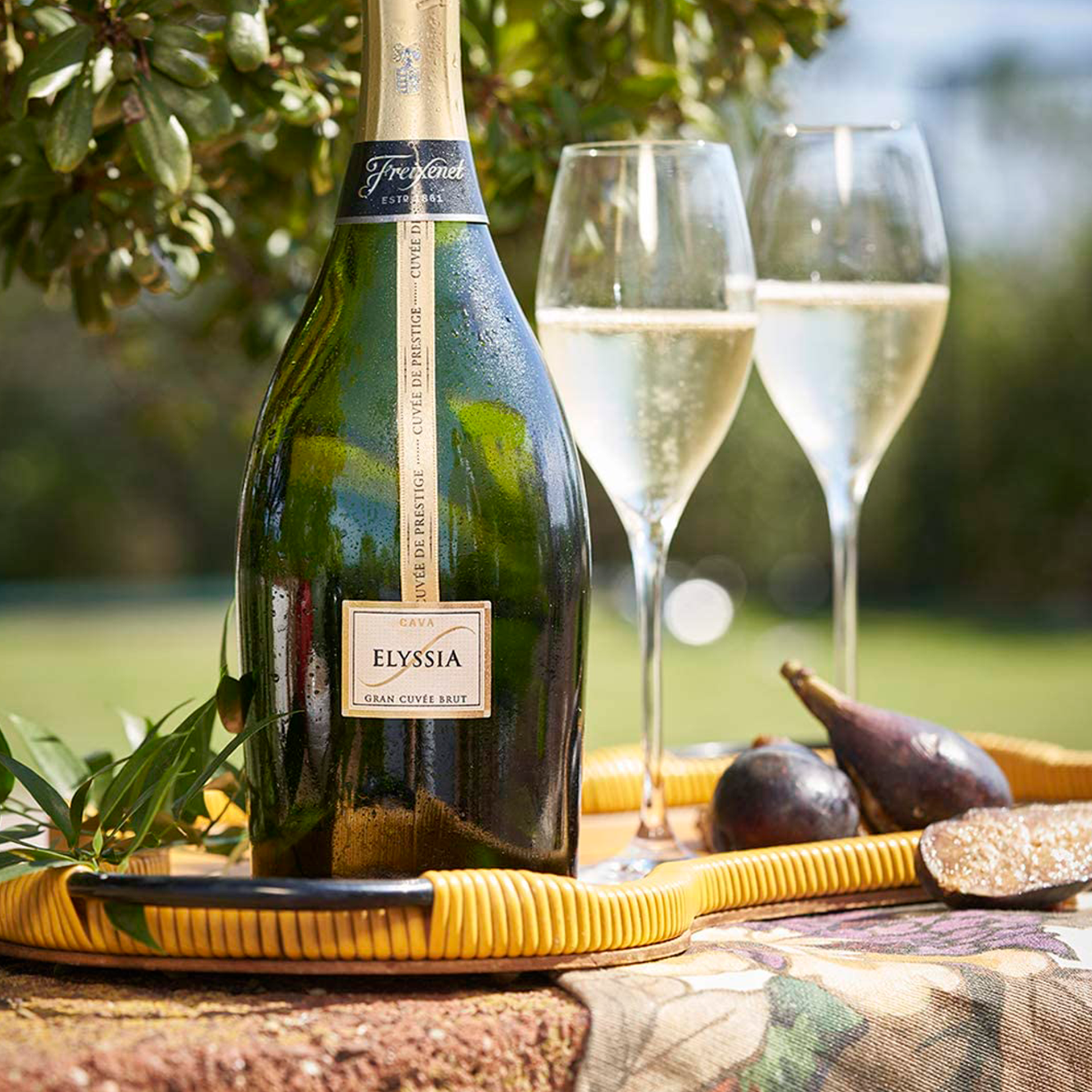 5217ede2a2d7e1a4305e6a2d13bd5aea