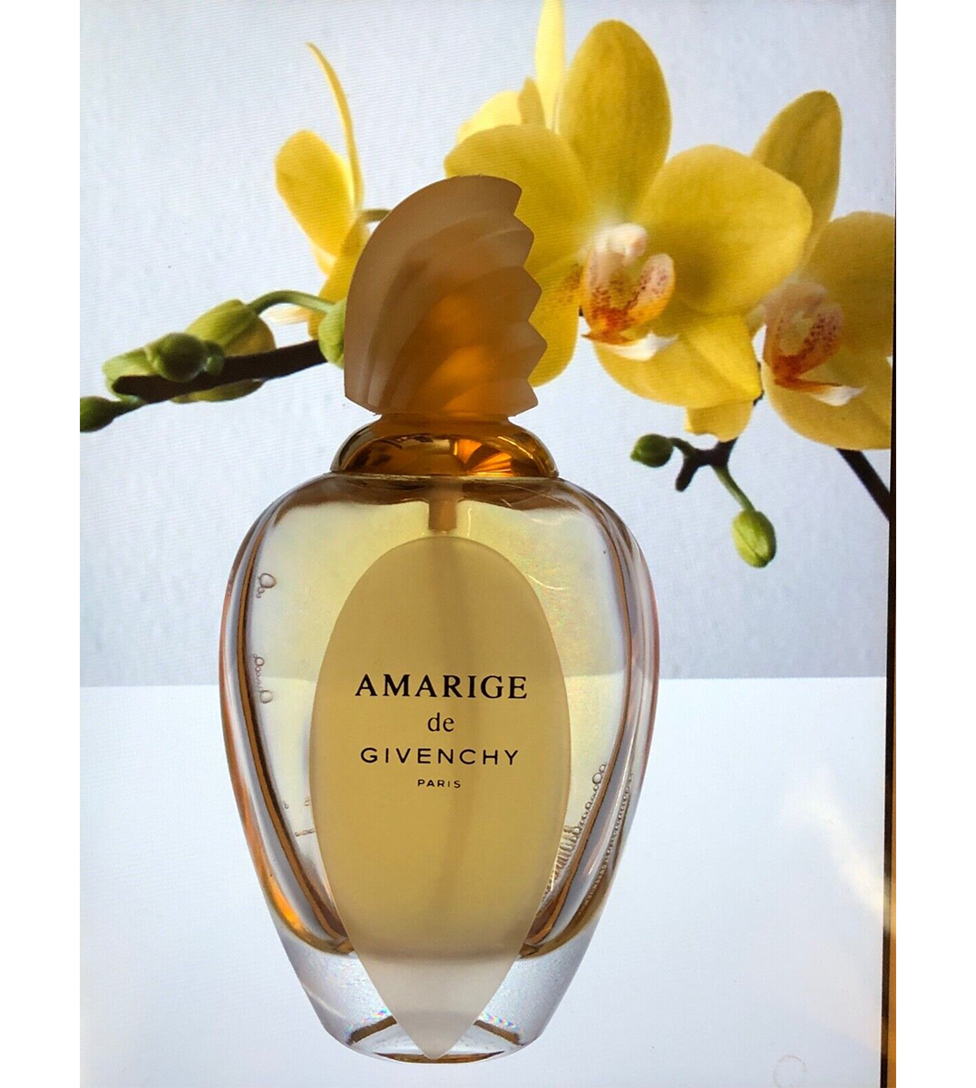 0a6fb85037689c1f4fca3d7c17c5db04