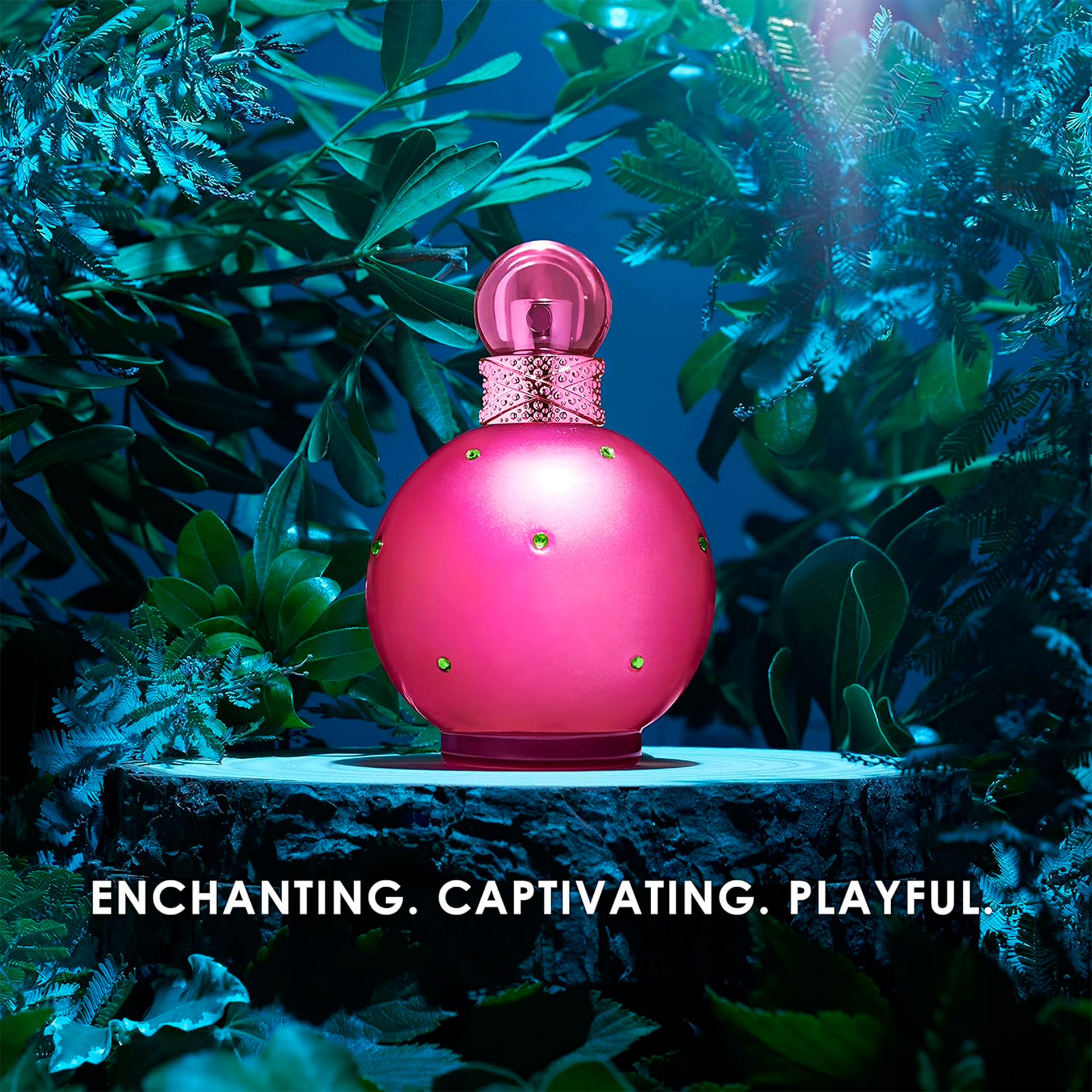 fedc44dc13ef6e7133dab0b9e9a244b5