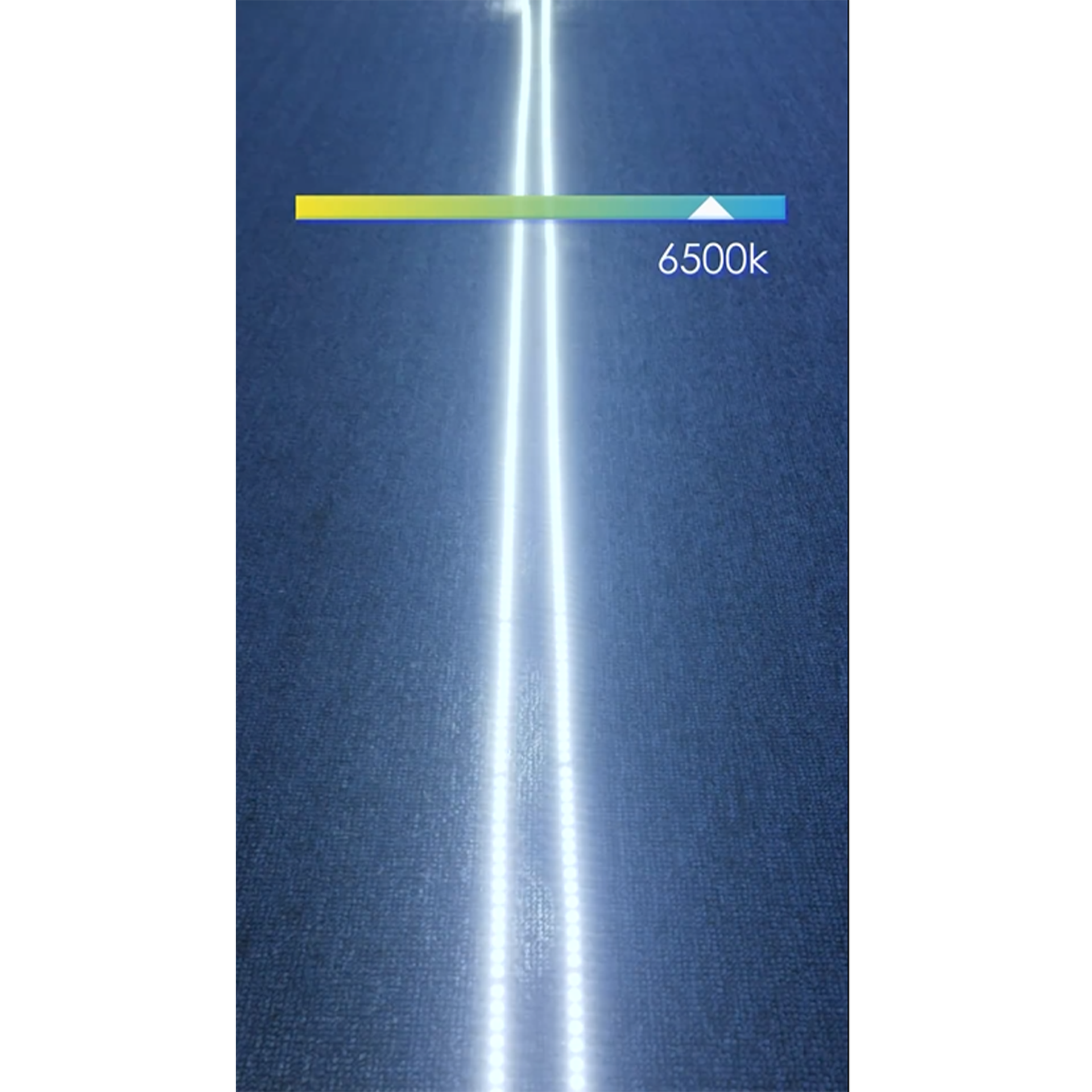 0b38ca36db4e0639e87a8f01ace243a4