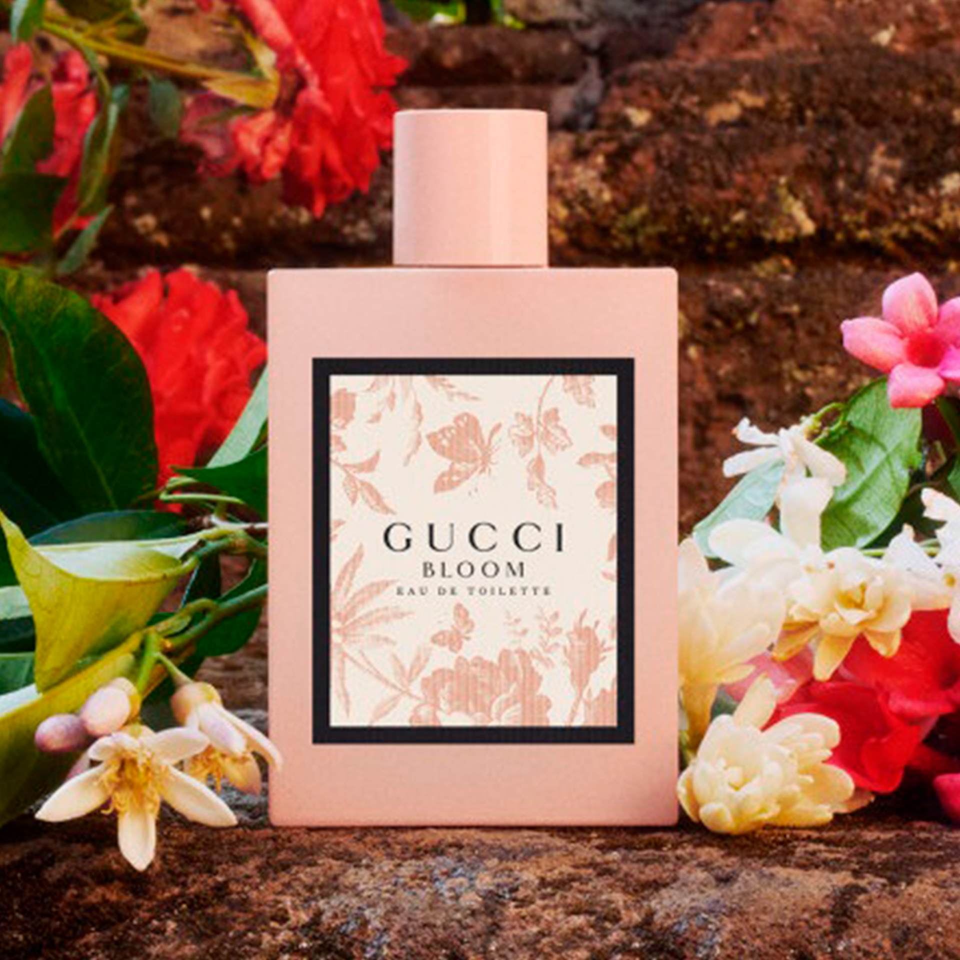 698ad6559b381c424f05a22c004b1338