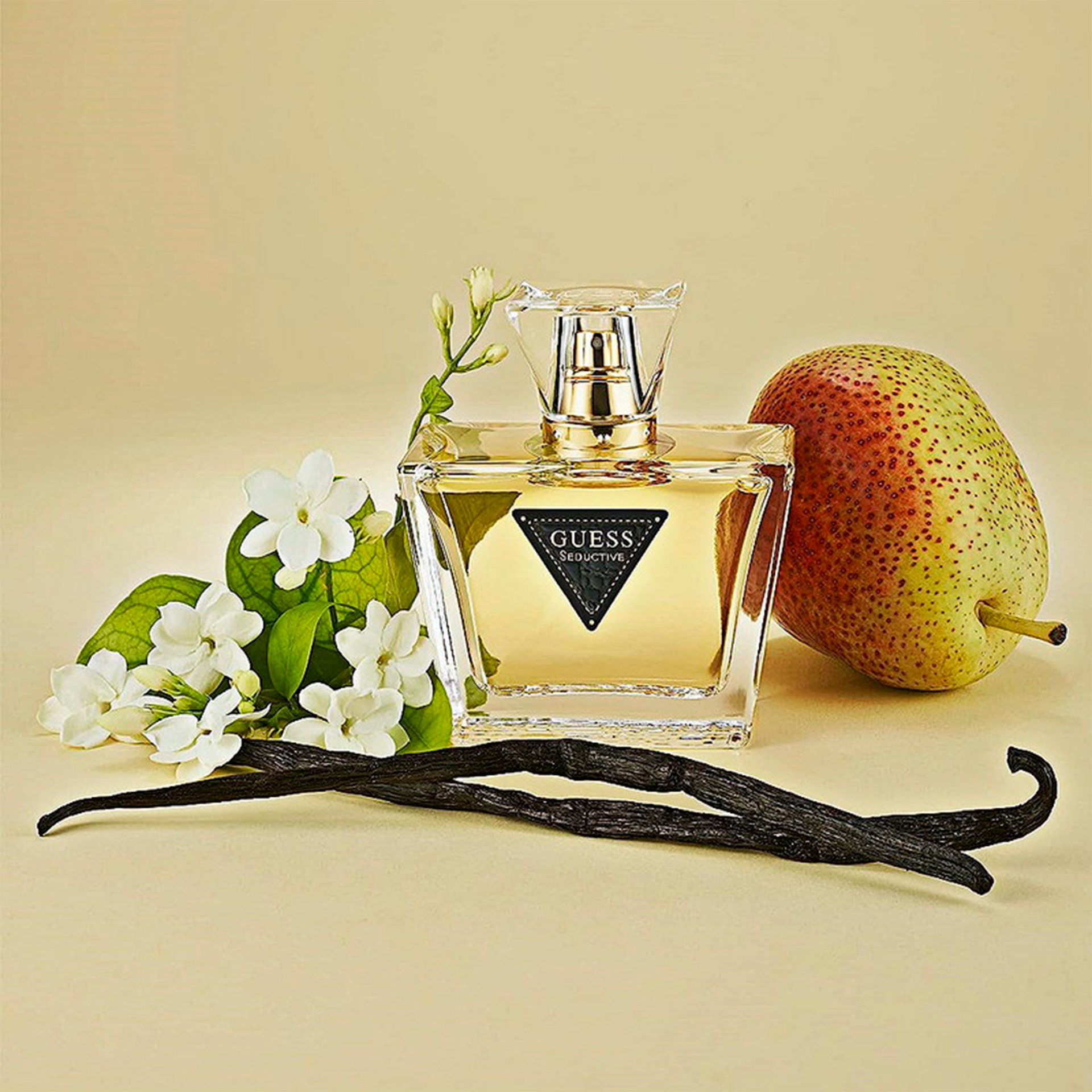 65b8a2563a487323f5f7a128eef36bbd