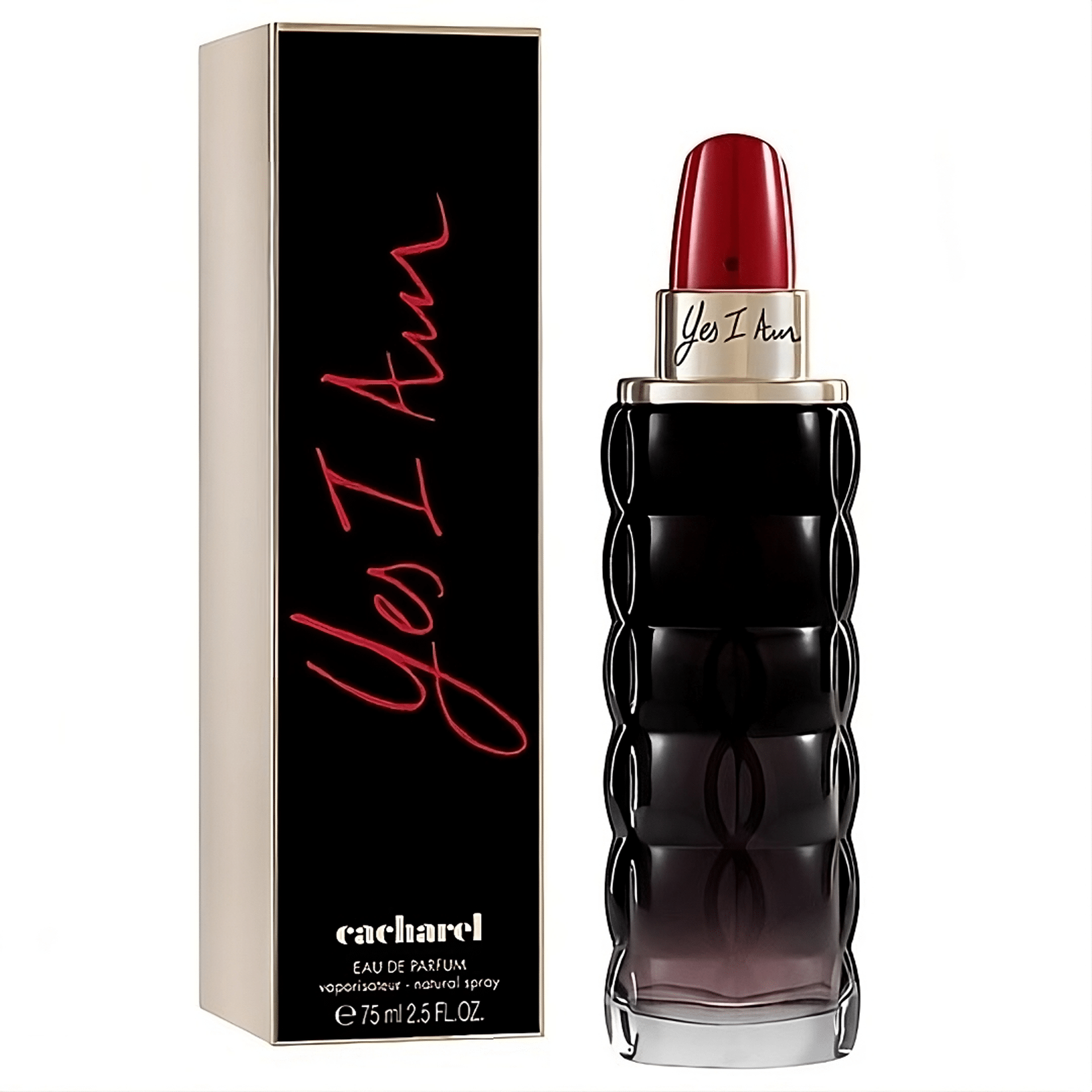 1242e4510379e9b022d49ee1b06d5d5f