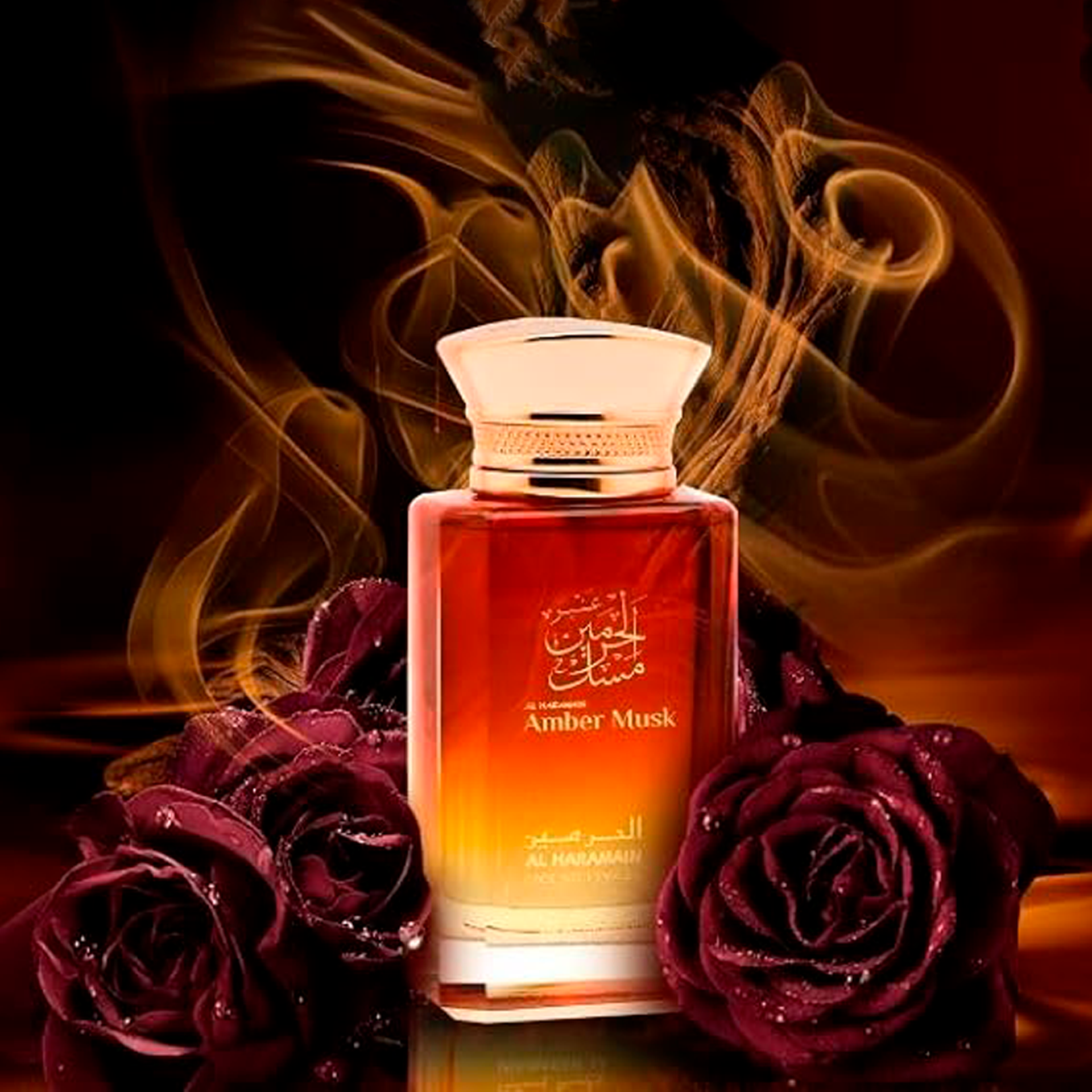 4237fdaaf2bf4b4f7a7ca5af10d8b573