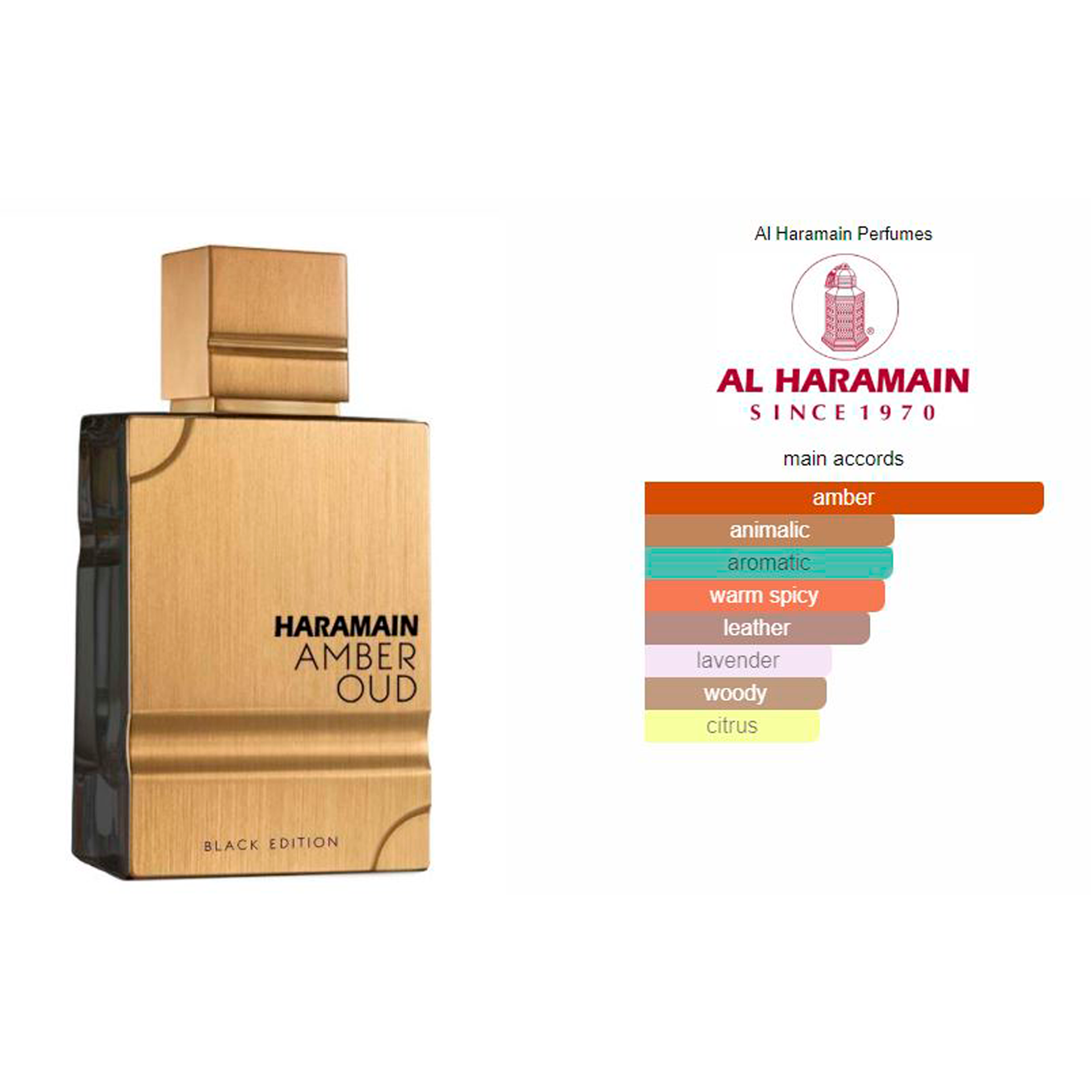 53ea980c47177cc69c1a7a222d868c9a