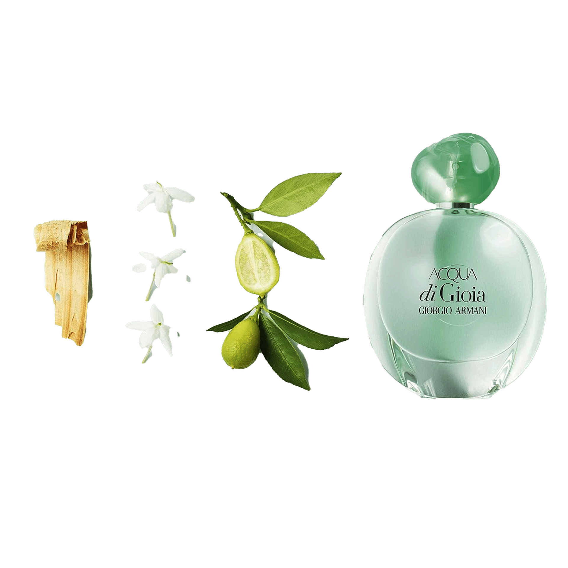 b65e2a0c6de89da906c21891bdb07f39