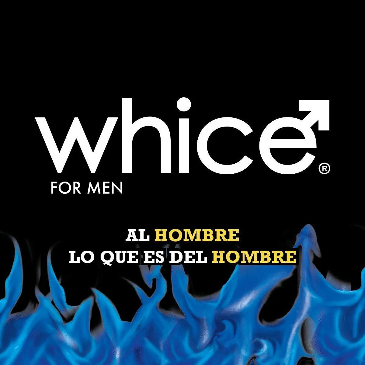 500717c13f6f54016b0f040d2aa5d11b