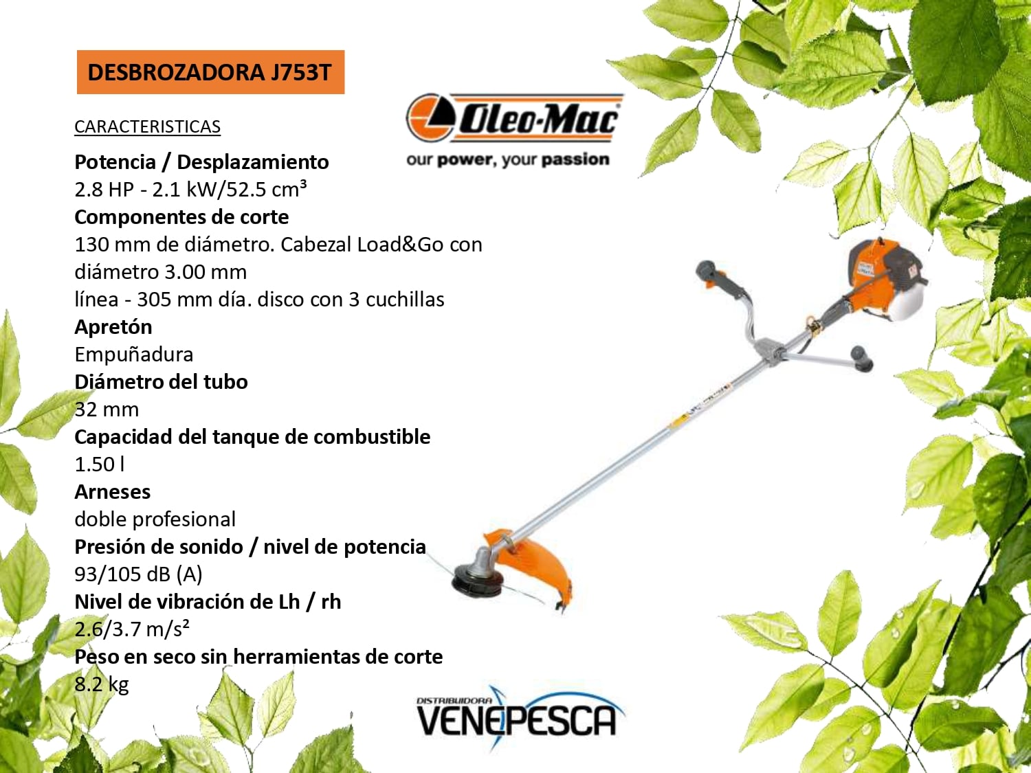 8b0f95be51206b50d22d76f807f1d5b7