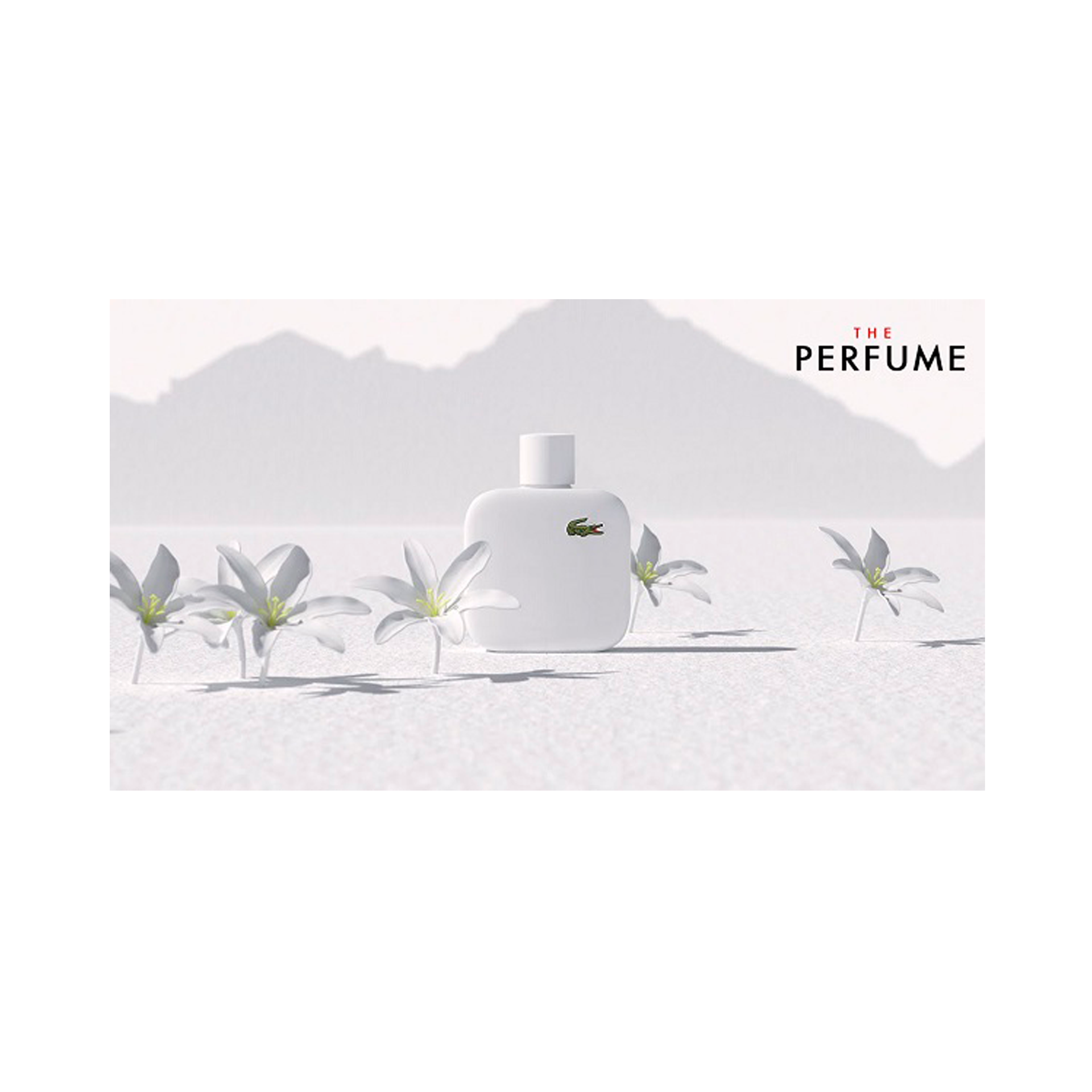 422f3e8b78fac863661c17cf4f950c66