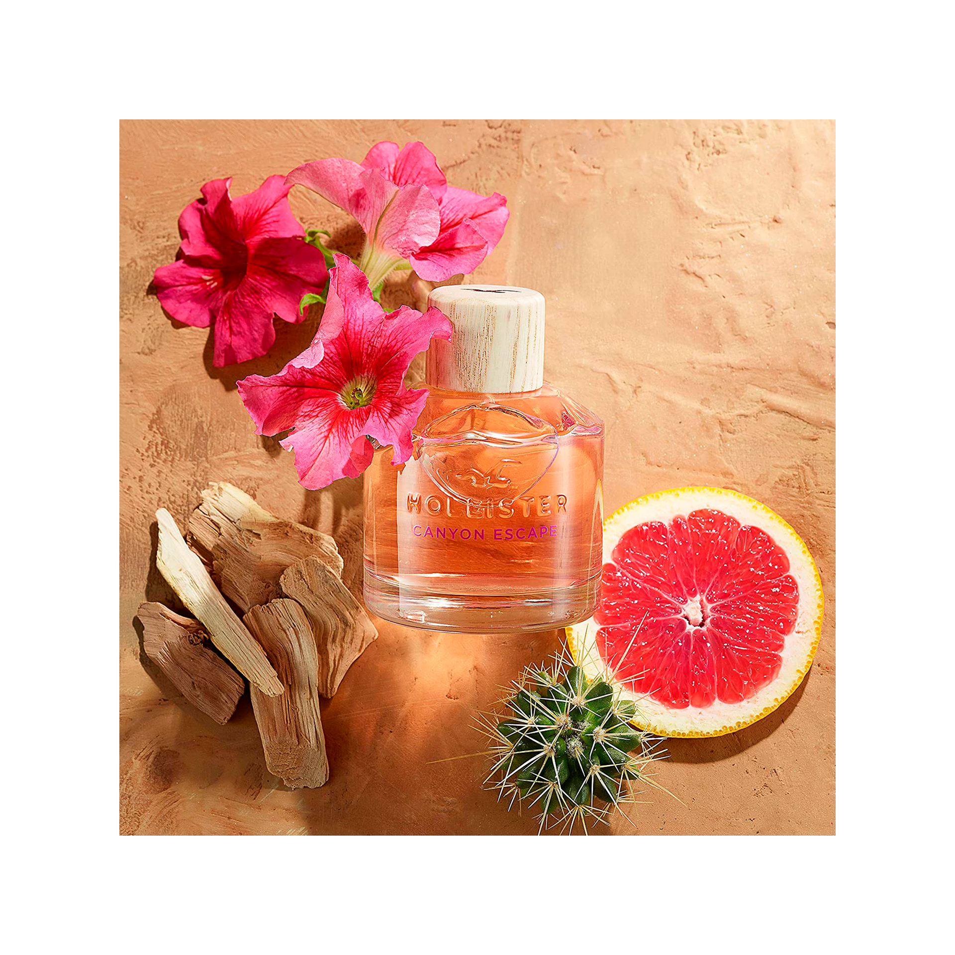 de607624608b36c616dc99e269ed2d6c