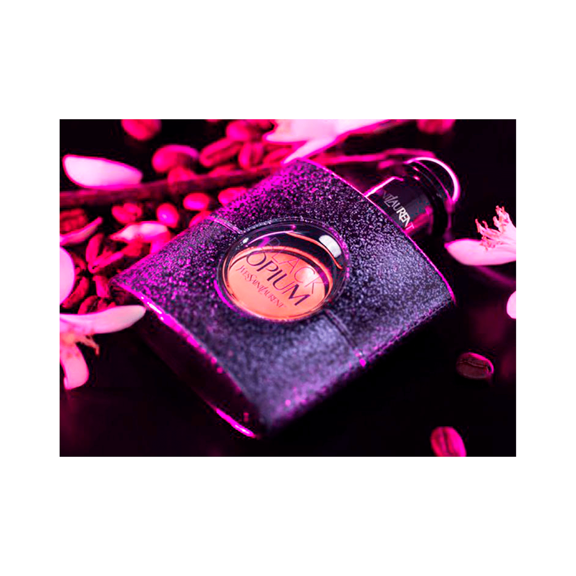 b9f494b9a430255c34e7d4e6b9bb3956