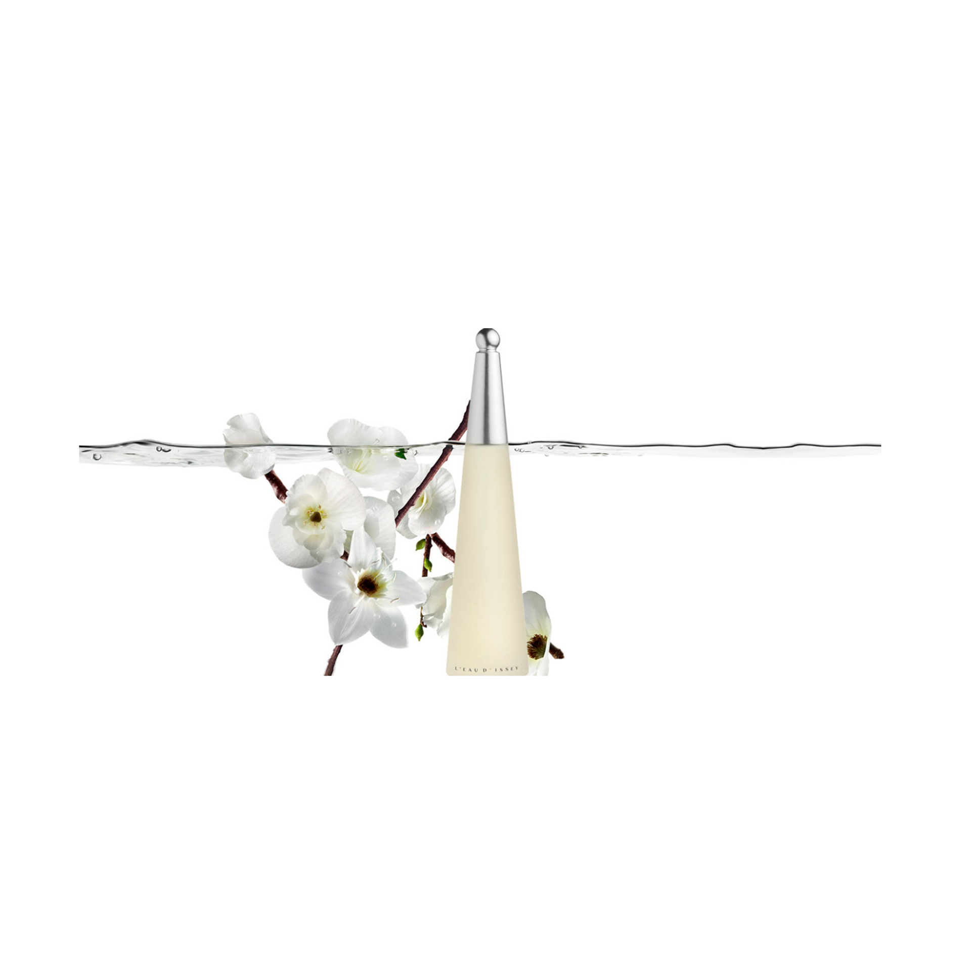 9536e436fec1abd426f88e4d4ee6384a