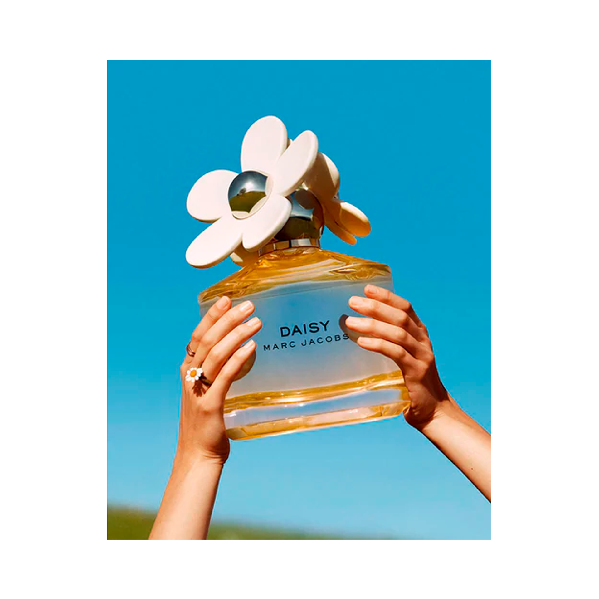 073d19548e38342a442220f9f8581fee