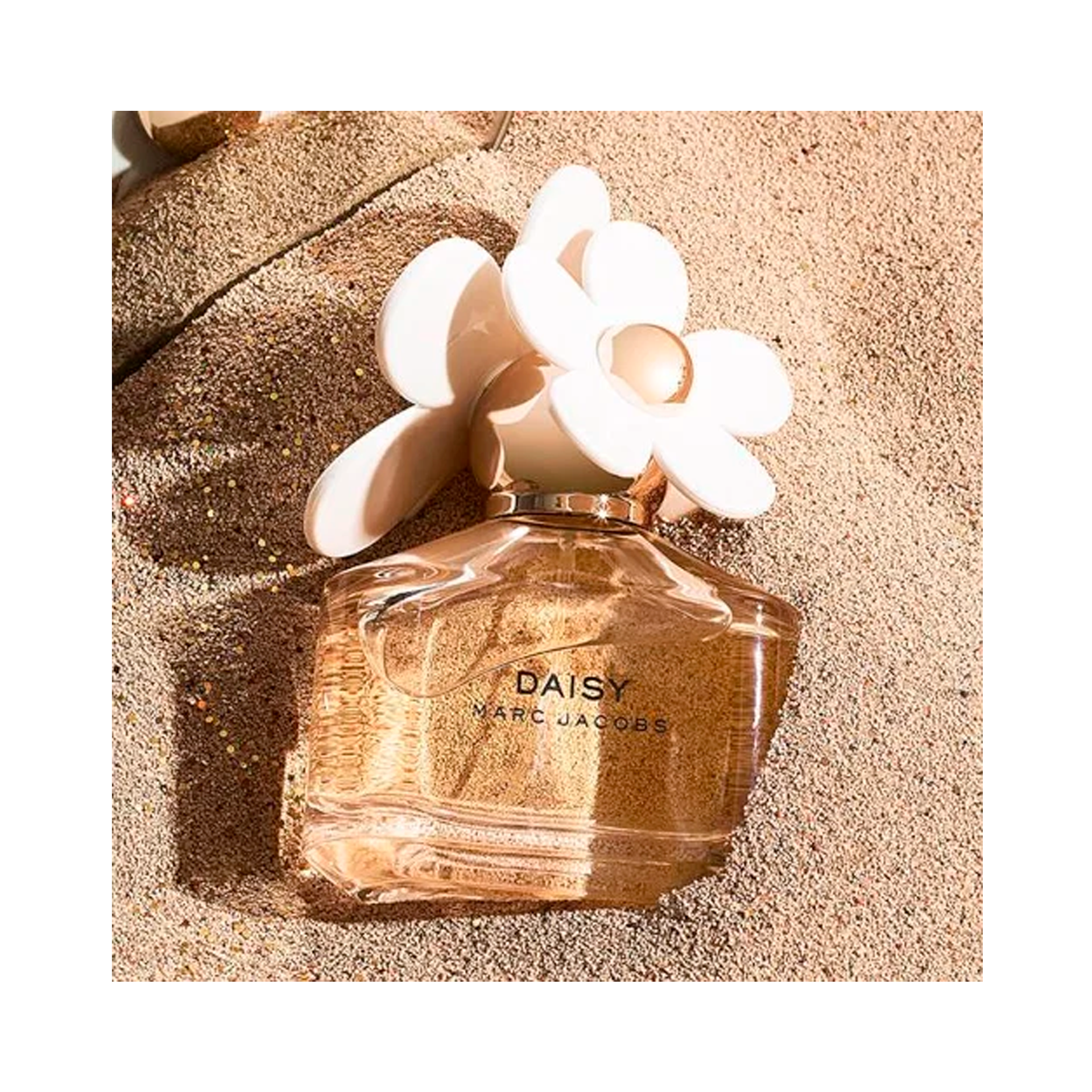 2706d04f571c28687eba2b313c61c880