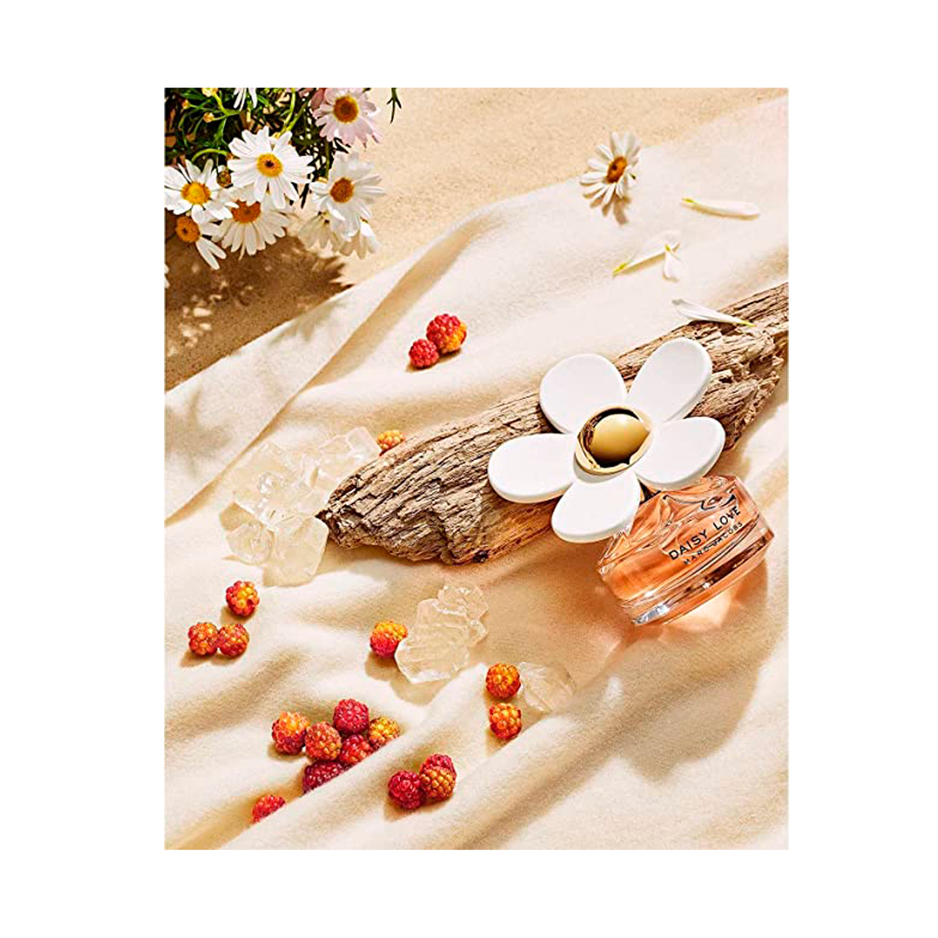 29cea9912de9766cc9158eab3a79e6c4