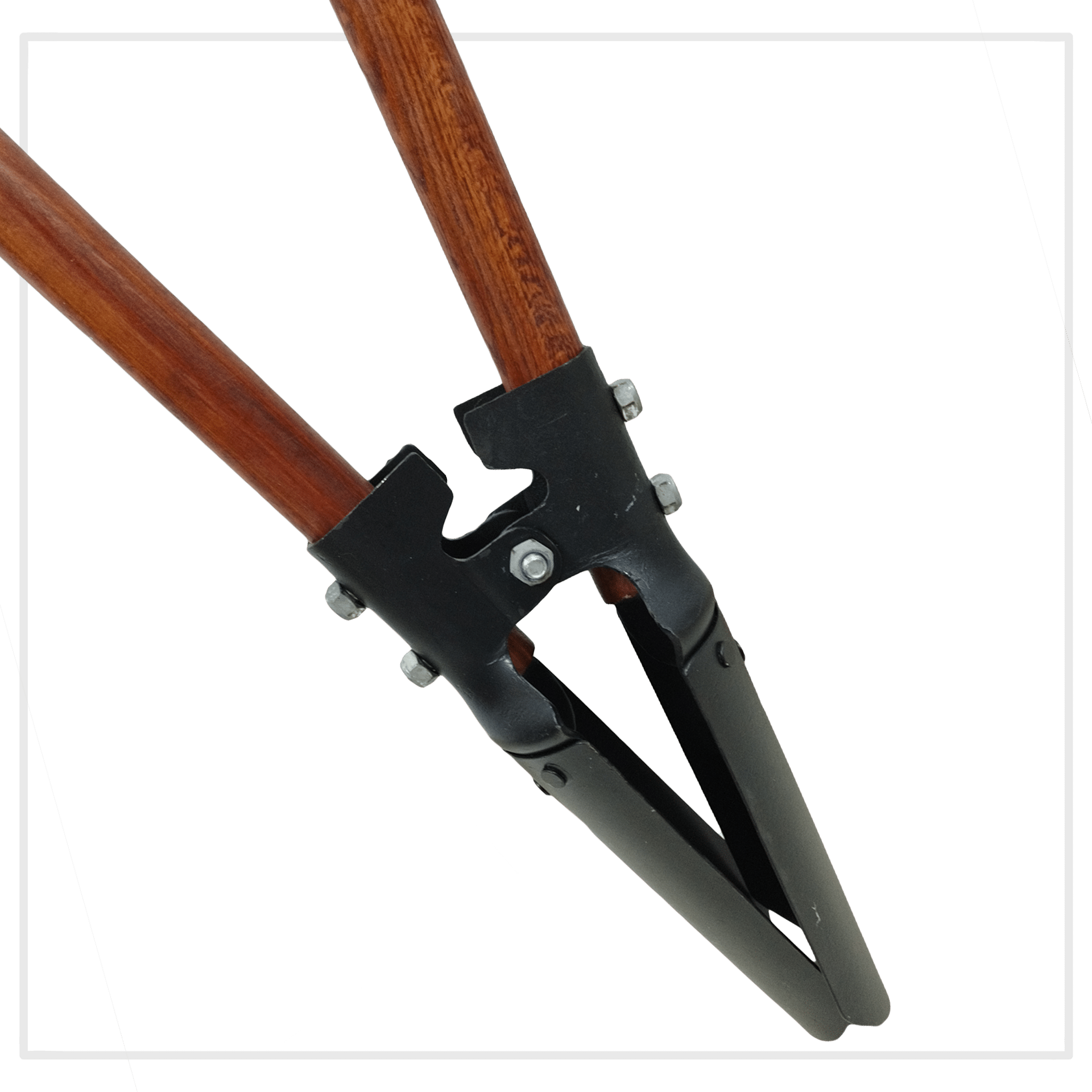 8473ab0177d838704f7fab59ea739a96