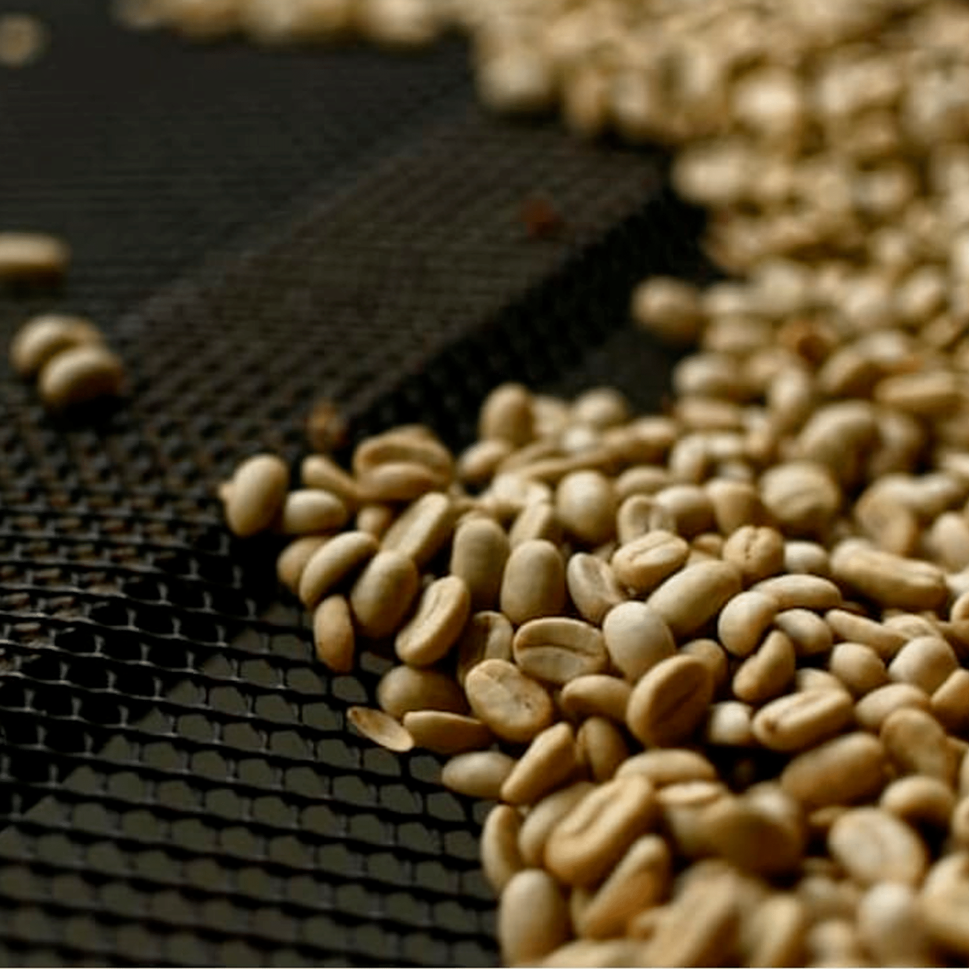 93c9b56da4218f527481bd3bf8c7185e