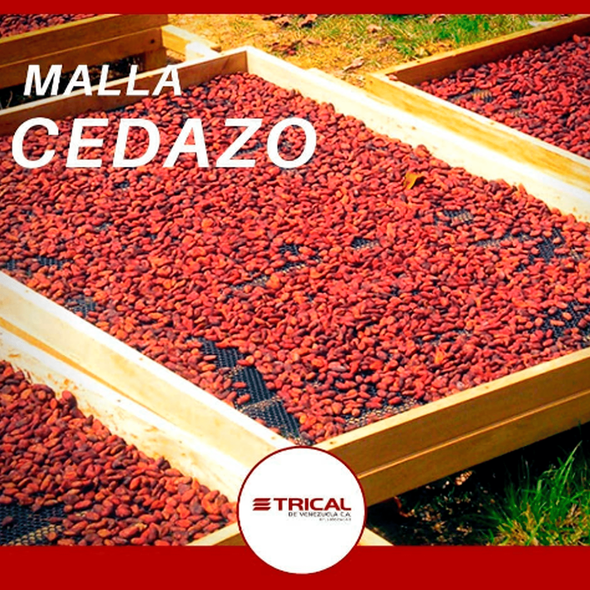 e6c7532e3ba55d2e643c9cea88e59cf3