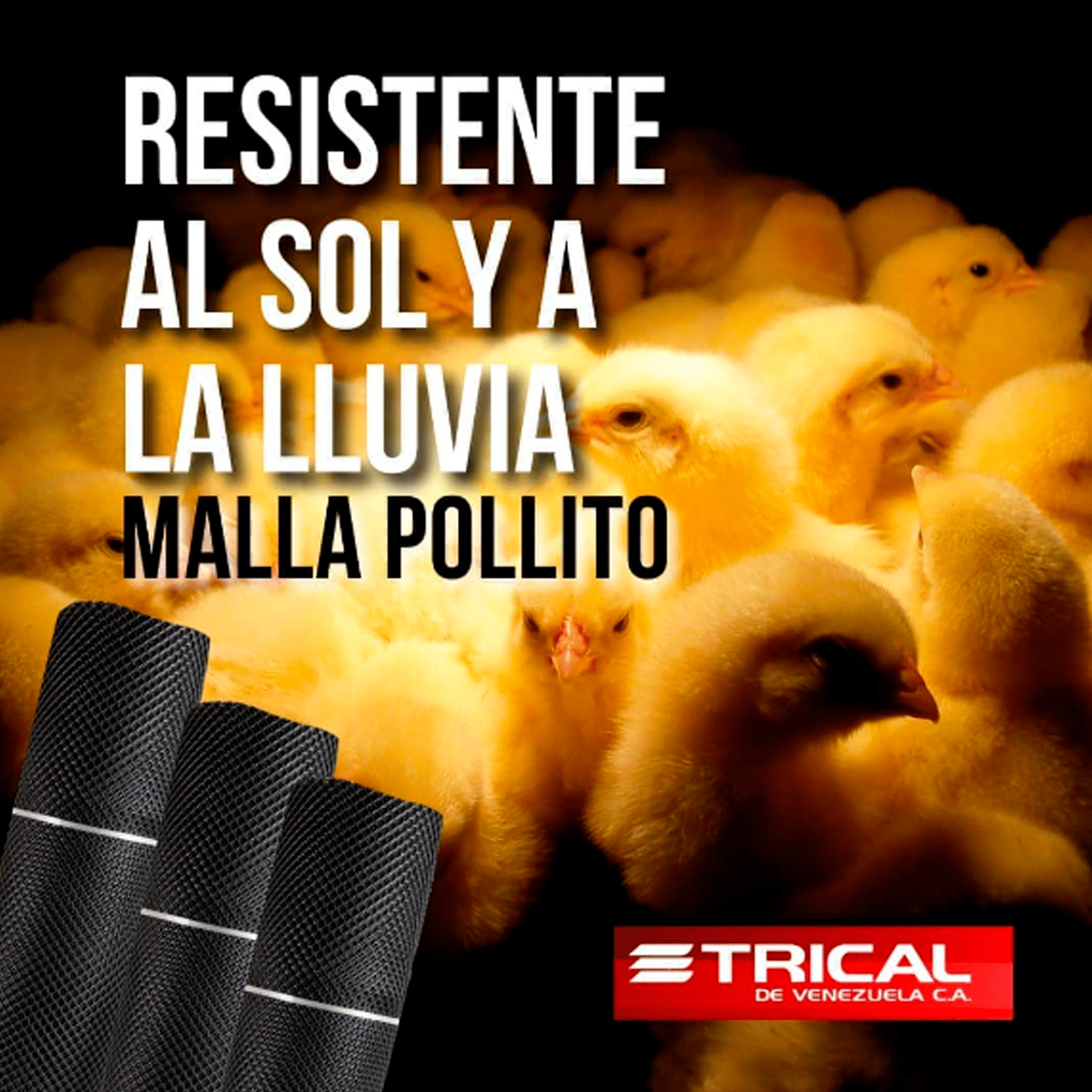 bf4b64e4004dddfc1f8341d472a790cc