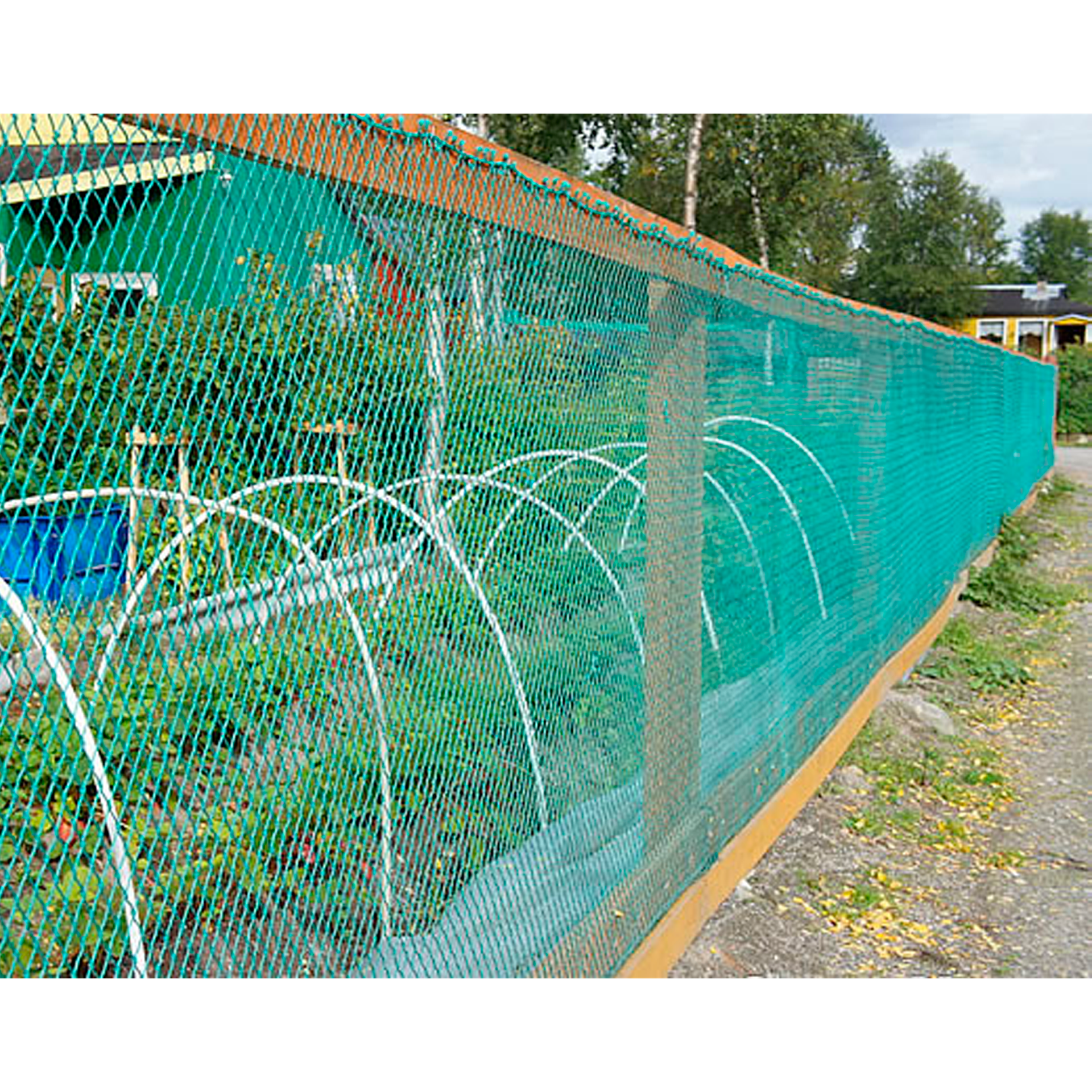 ee4c34183a31d4daf242fcc138646a4a