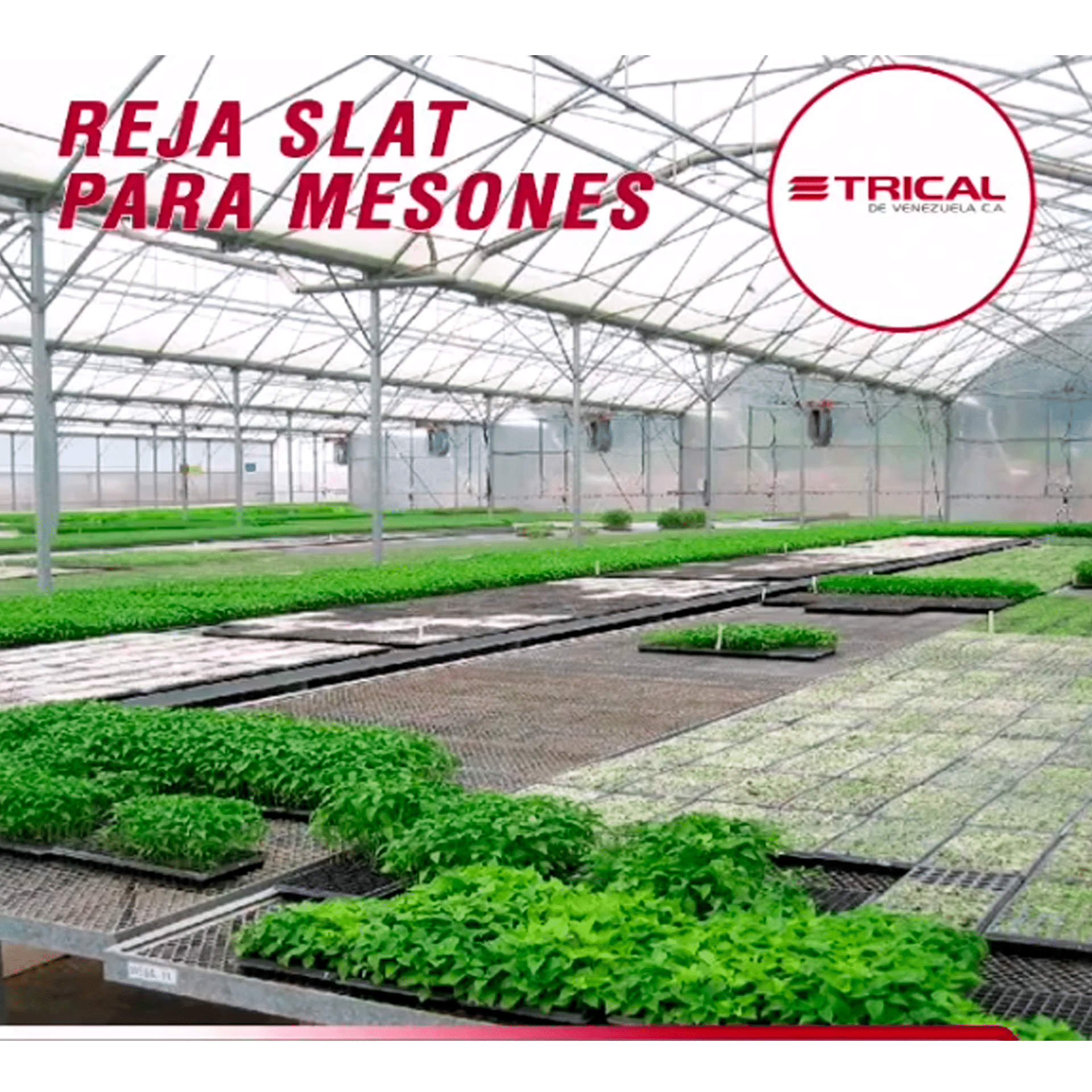 1a8b782aafb913d9c3dbd22ddd56e12d