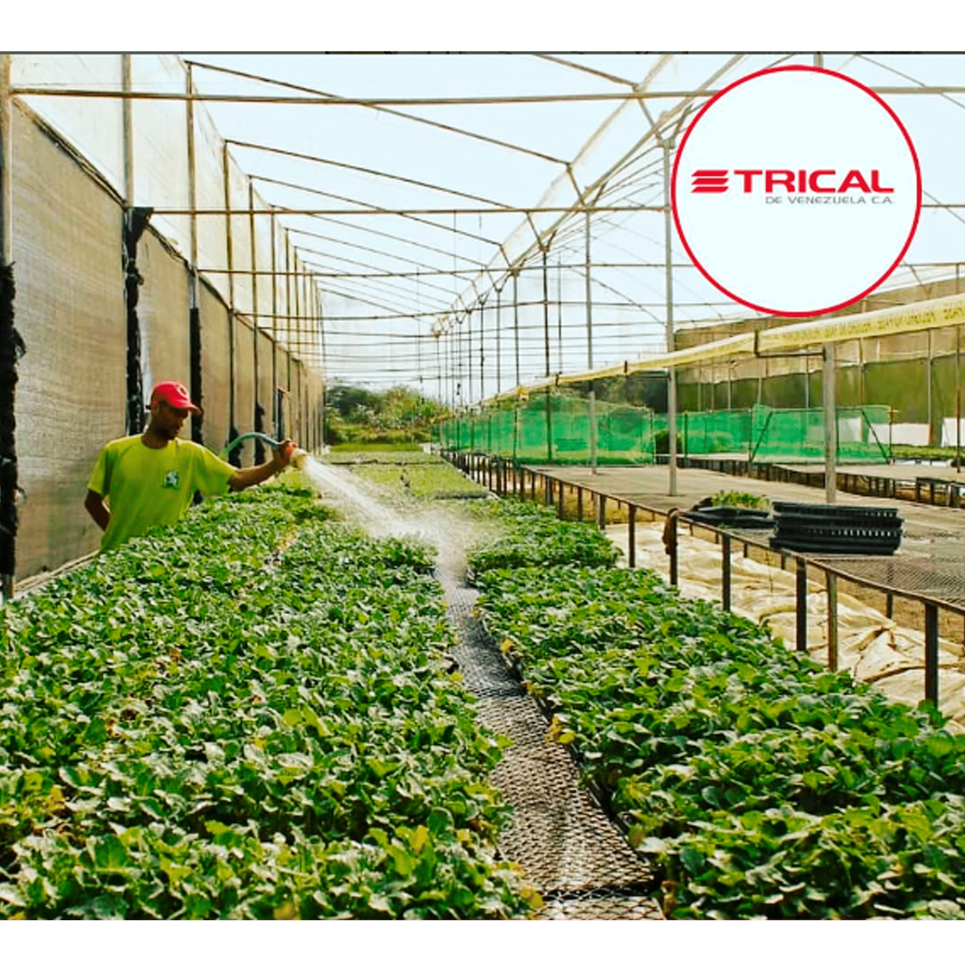 41c56b0cd726df28d147e4f31102dab7