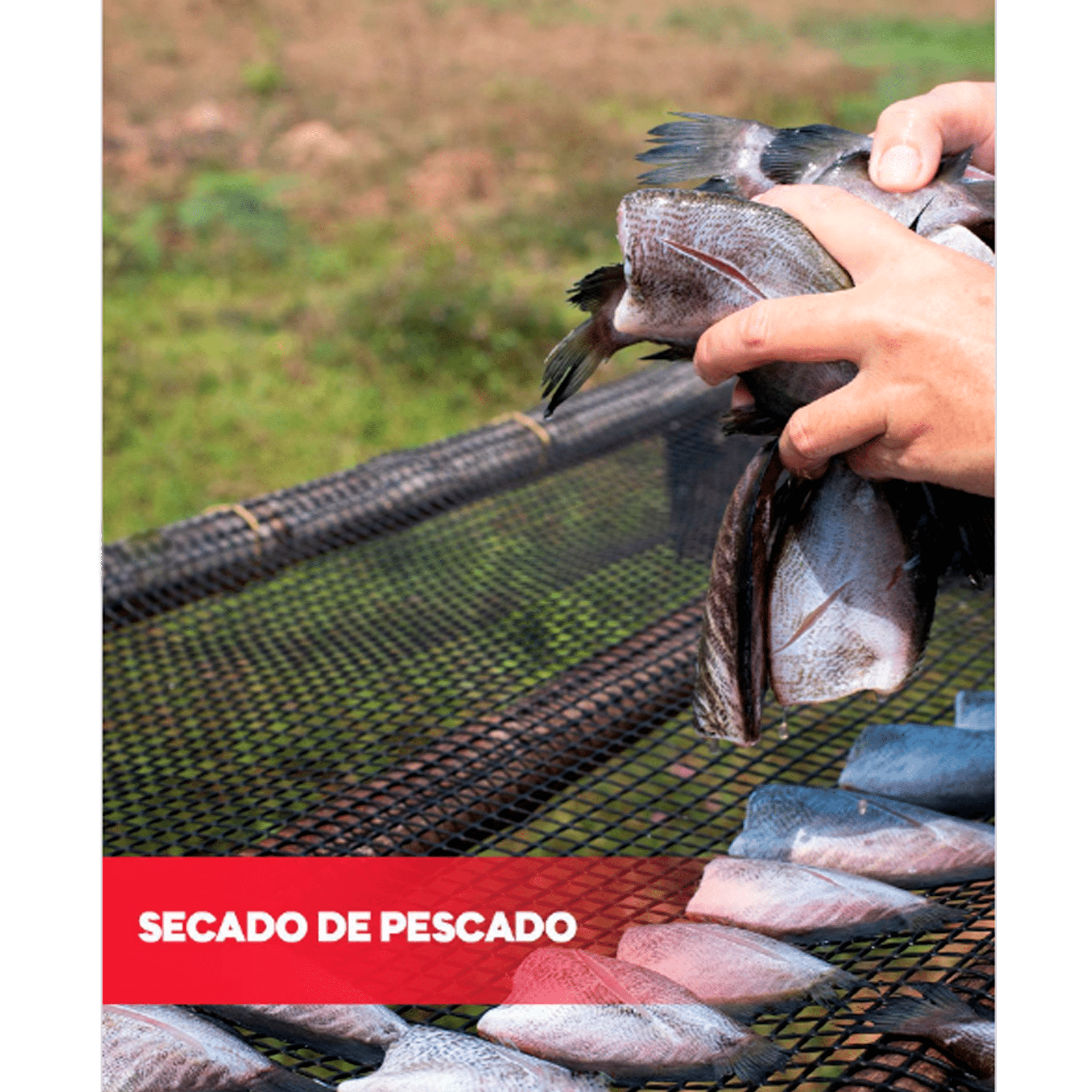 3a251fda1bee9753dc932637c574c637