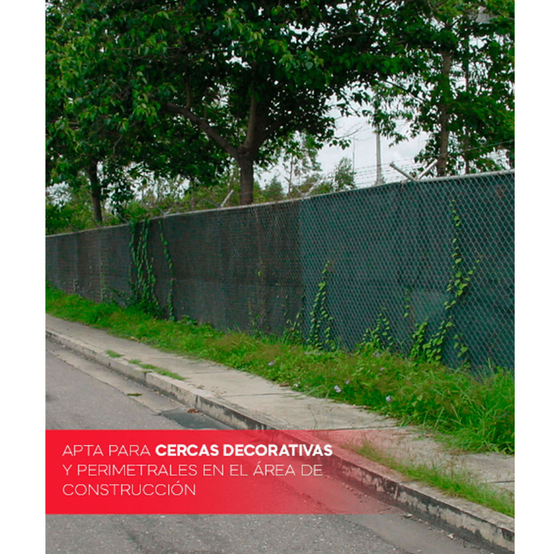 9a91b99af36a5a8aa4901d9c712b3cf0