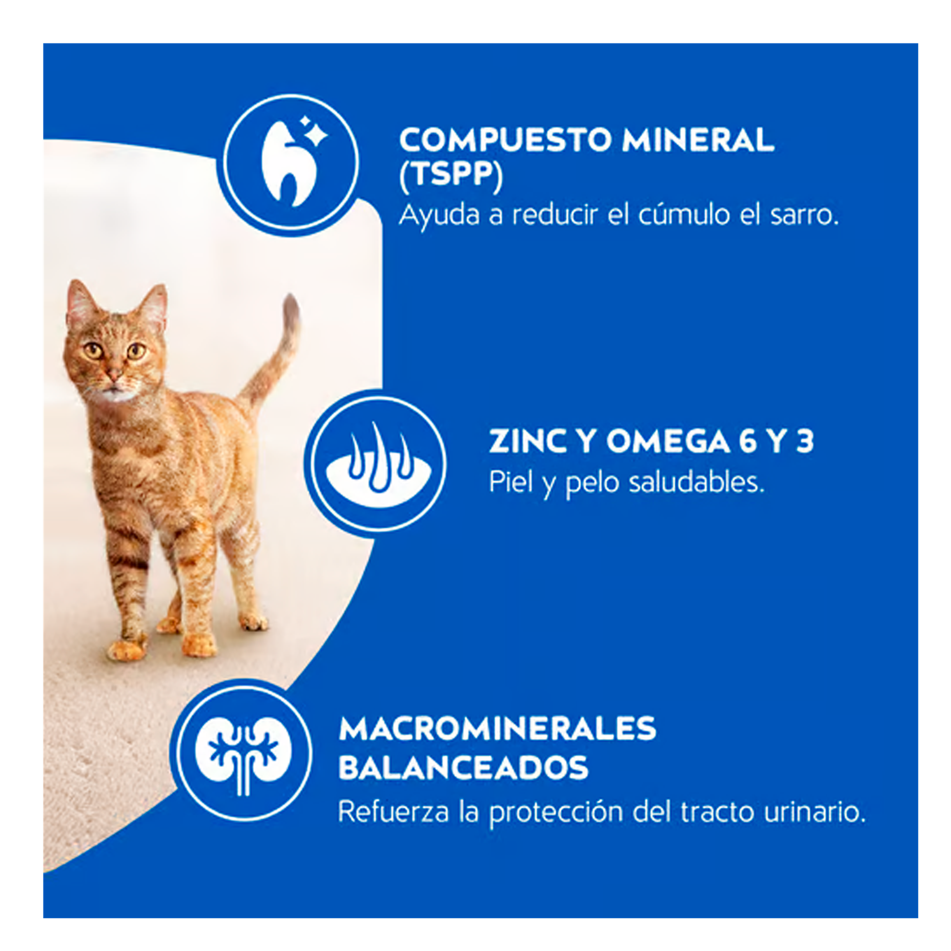 930193d166ae754b480e22028e9817cf