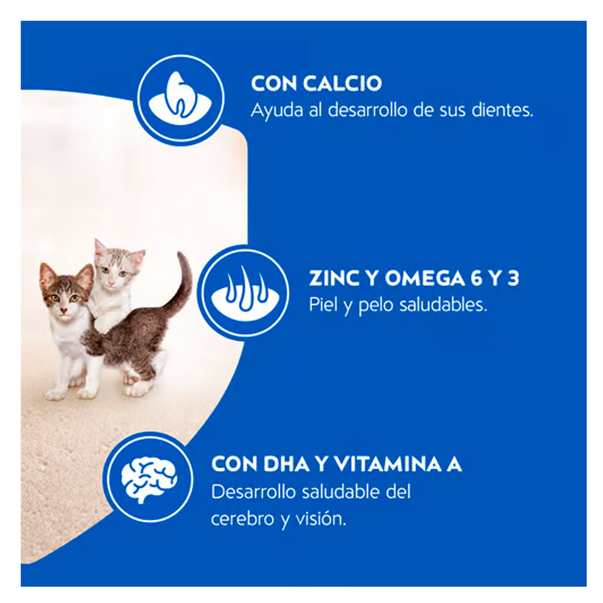 bc5fbca5e42842ba6c7278262f19b2bc