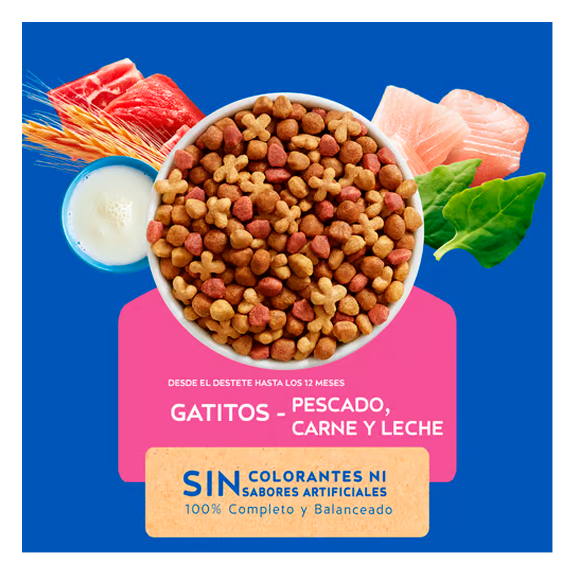 eaf7958a69f1b95d1ced4b7e018478a3