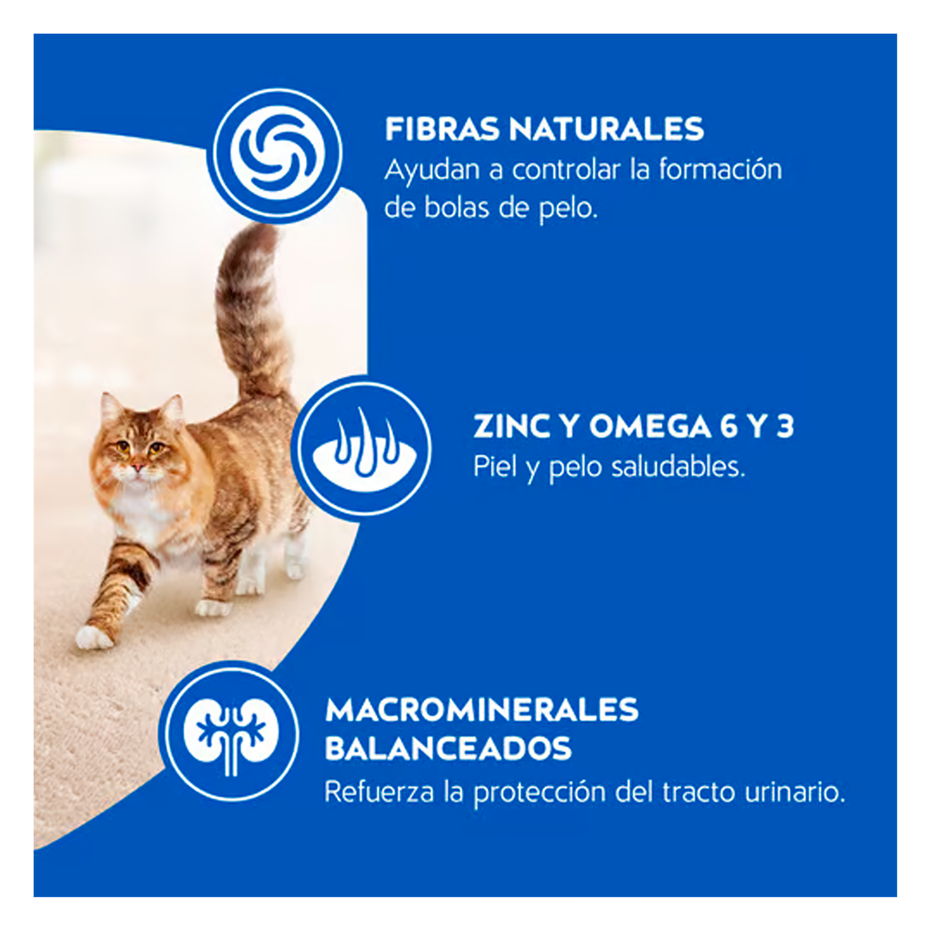 6ed87e4fb24f5d702d5dac365c807e85