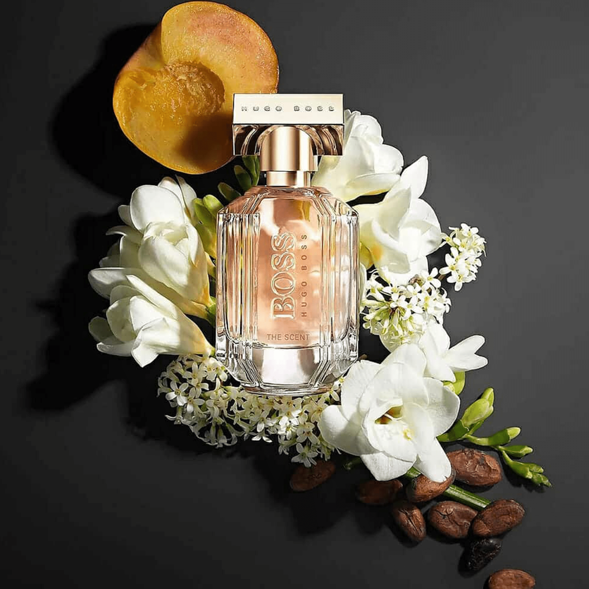 d1db47c471012992654e10820a24b2b9