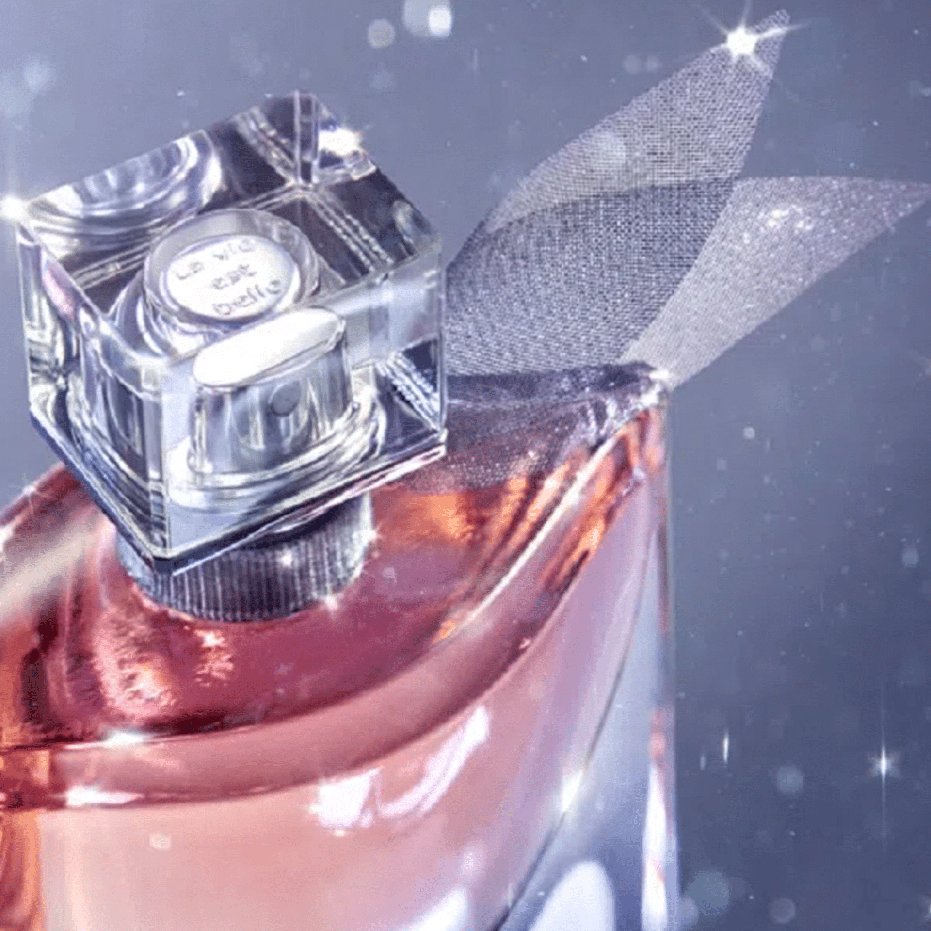 b39d580e49f0a62b595785adb2656d7d