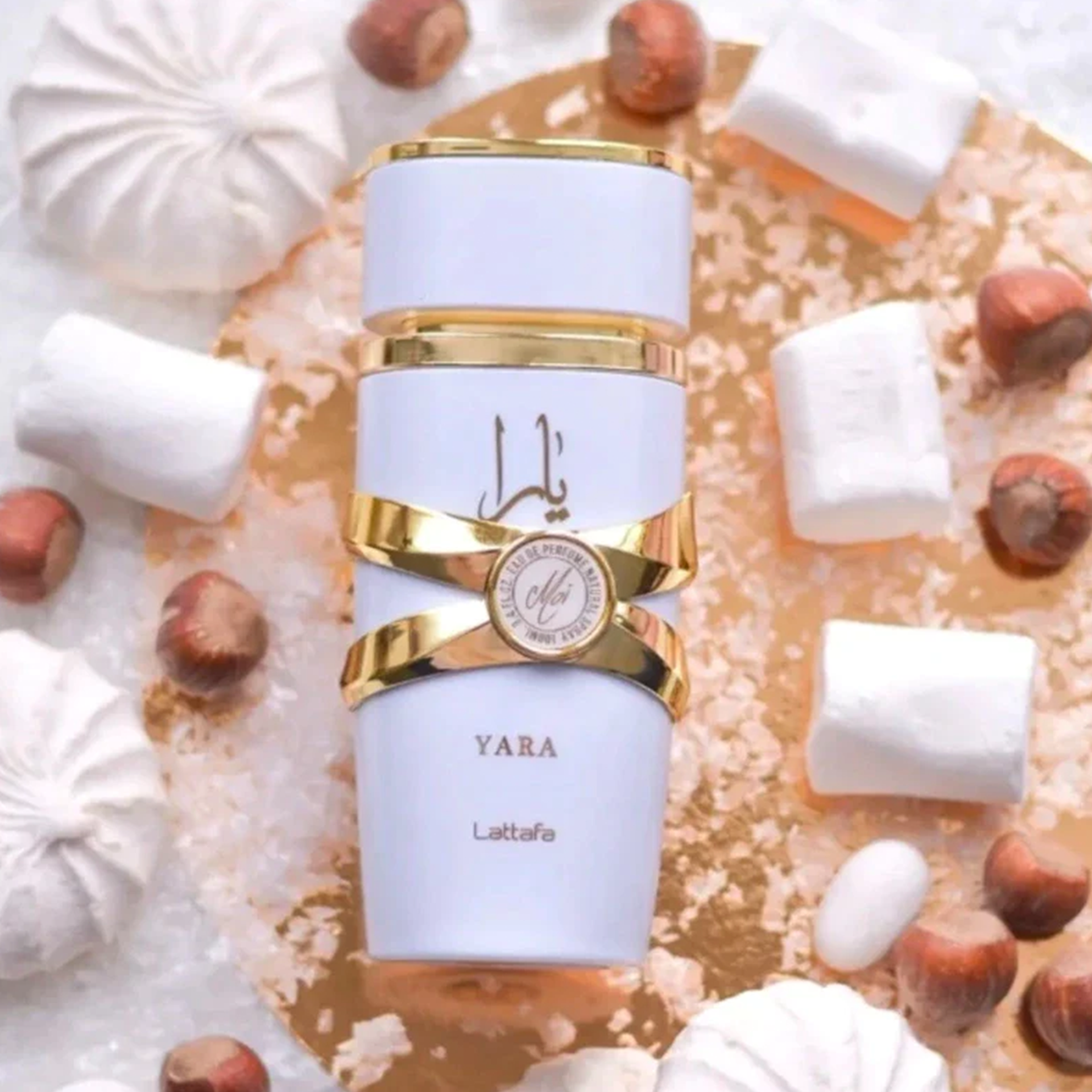 c528efcbd9e49b862d6aaf0656c3afbc