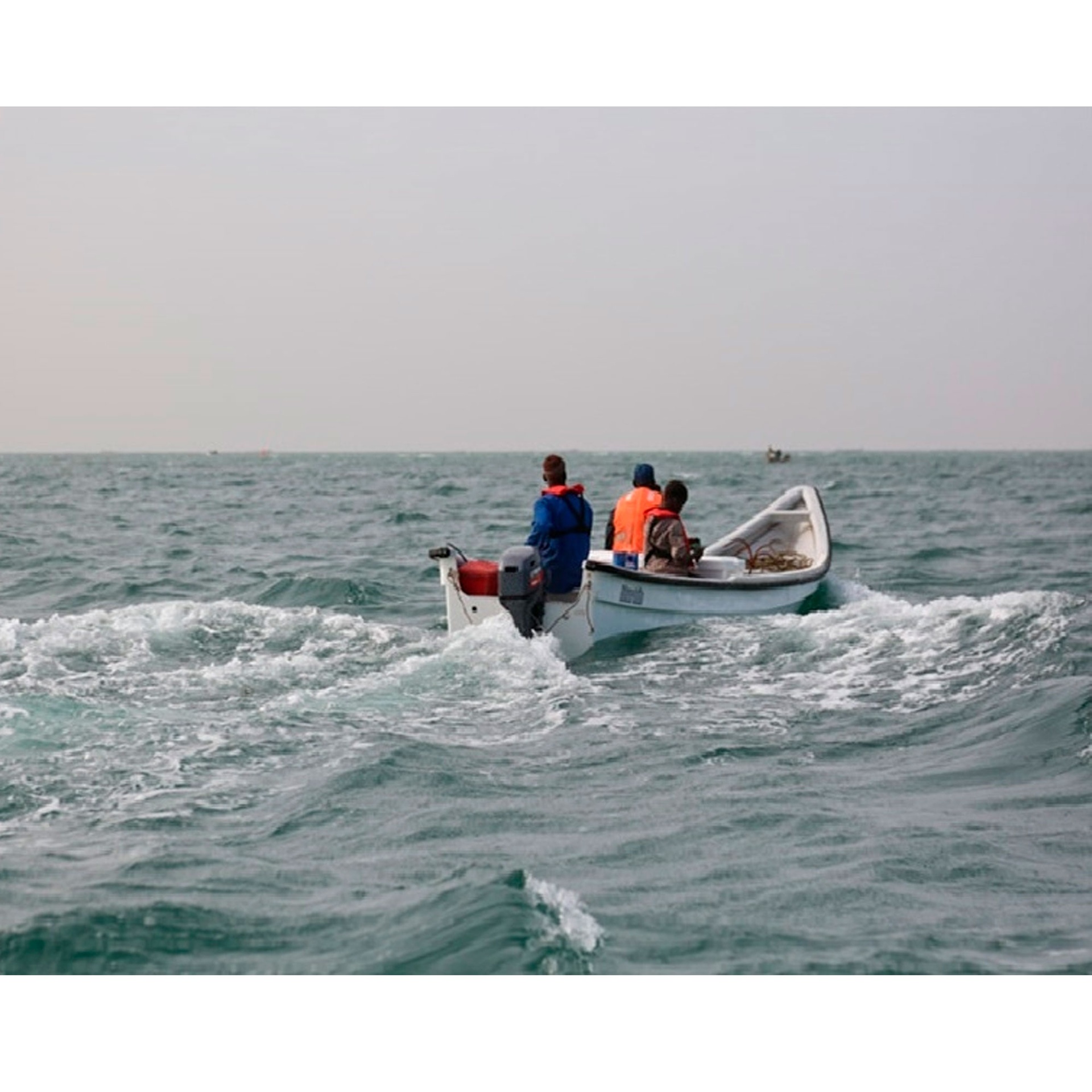 b1ad4deb9892678cd61a16d7ded74991