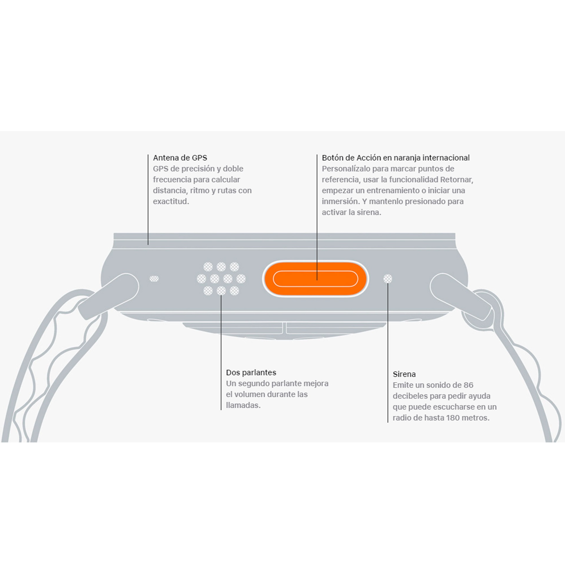 1955639ea9d4c526a4881765576d5ba8