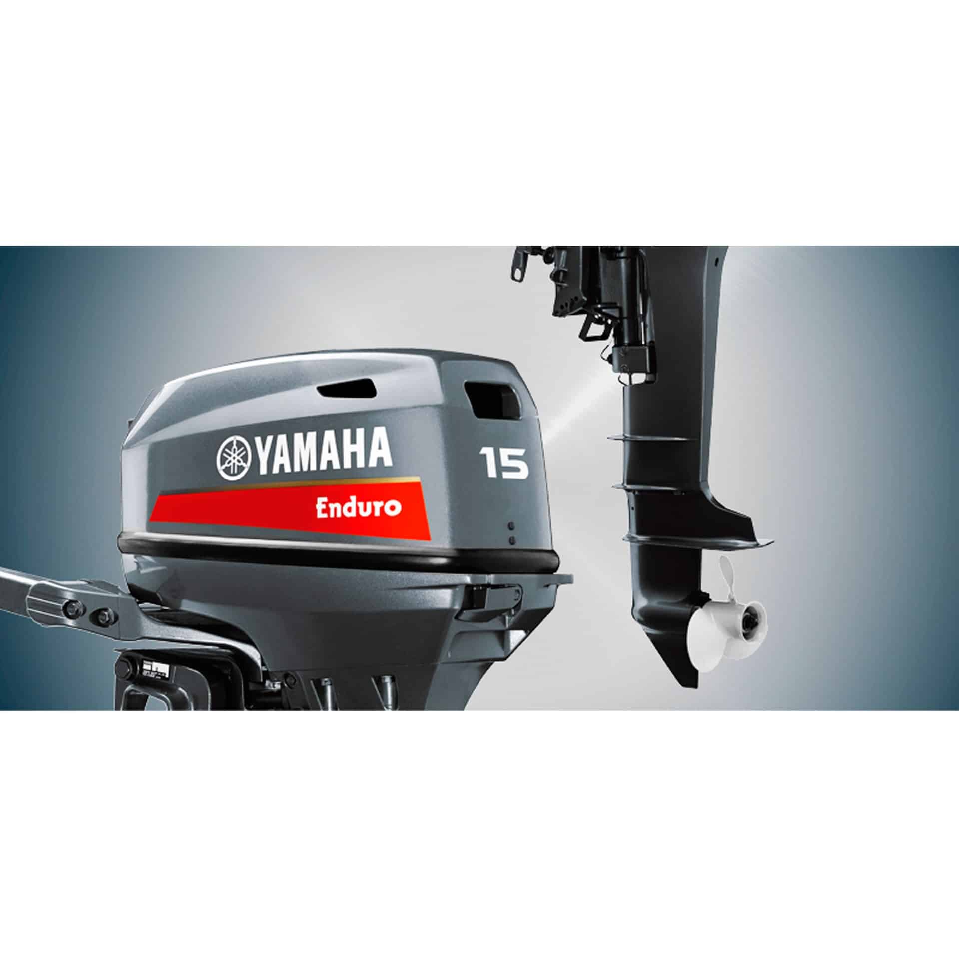 ff63729a7340064c42ae0c81facbbe28